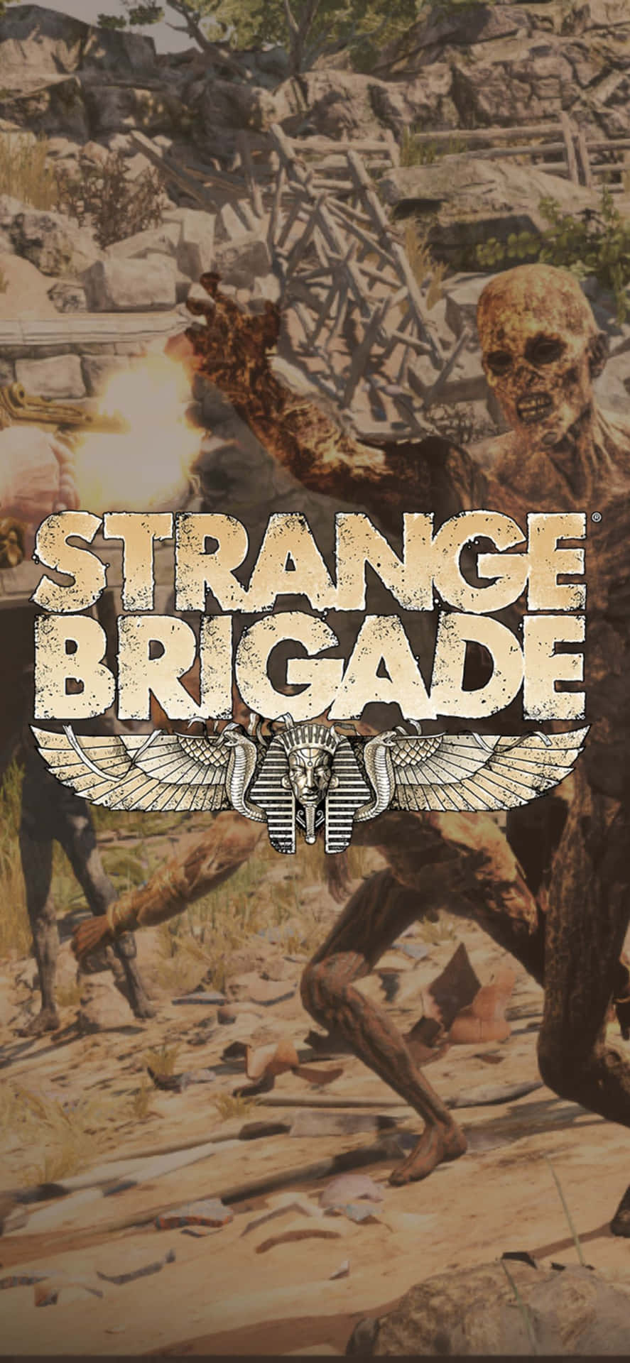 骷髏動圖 桌布 壁紙 — 來自《Strange Brigade》的 gritty 動作場景，顯示怪物般的生物在岩石沙漠峽谷中攻擊。