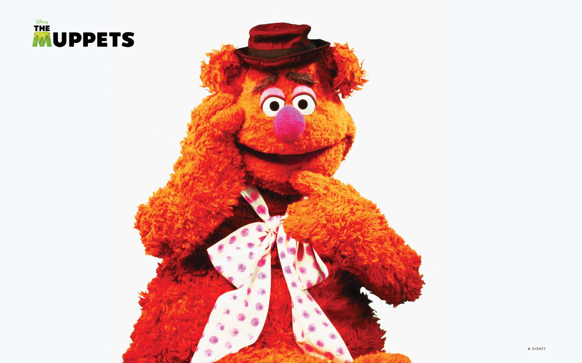 Animal Muppet 桌布 壁紙 — 來自《布偶家族》的福滋熊戴著紅色帽子和圓點蝴蝶結，在純白背景前溫暖微笑。