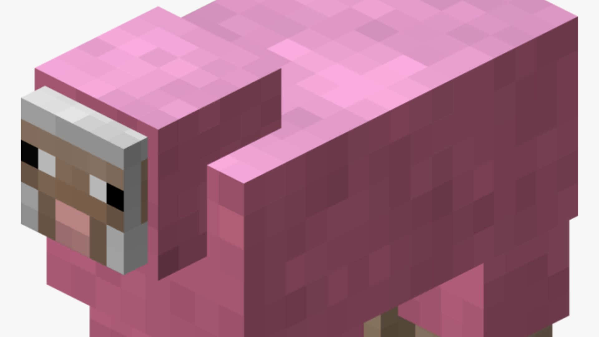 Minecraft Sheep 桌布 壁紙 — 來自Minecraft的像素化粉紅色羊，具有方塊特徵和柔和陰影，背景為純色。