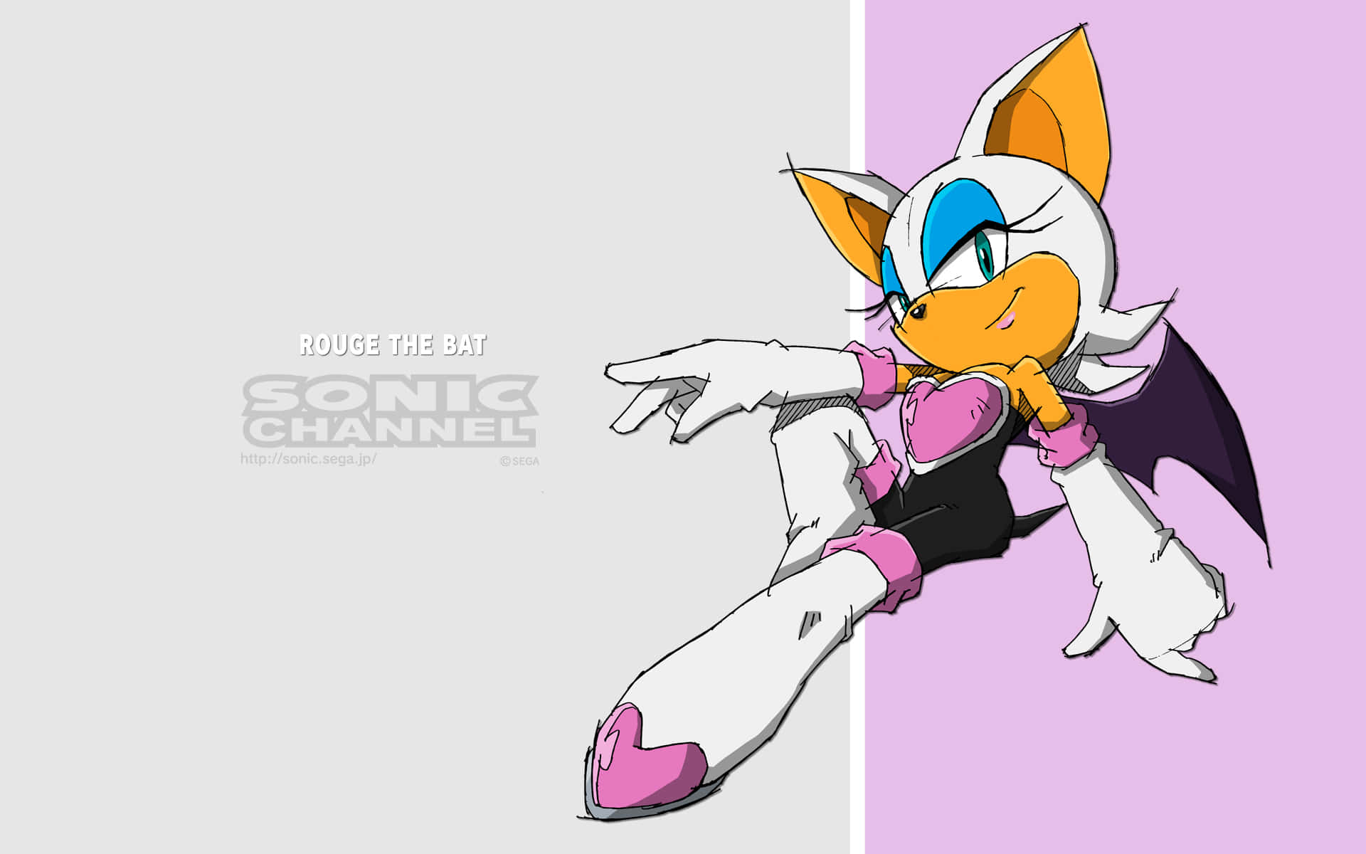 Rouge The Bat 桌布 壁紙 — 來自音速小子的Rouge the Bat在分為灰色和紫色的背景上自信地倚靠，呈現風格化的動漫插圖。