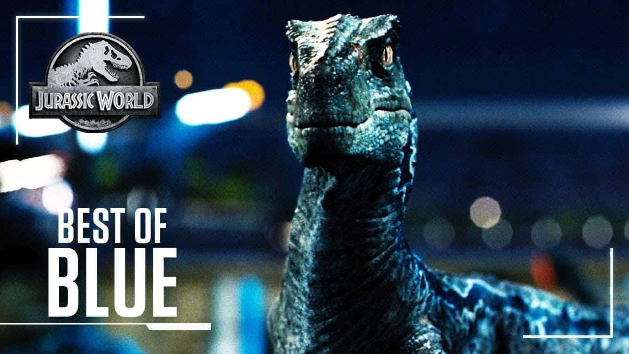 Jurassic World 桌布 壁紙 — 侏羅紀世界藍色迅猛龍的特寫，在模糊的夜景城市中警覺地站立，背景有發光的燈光。