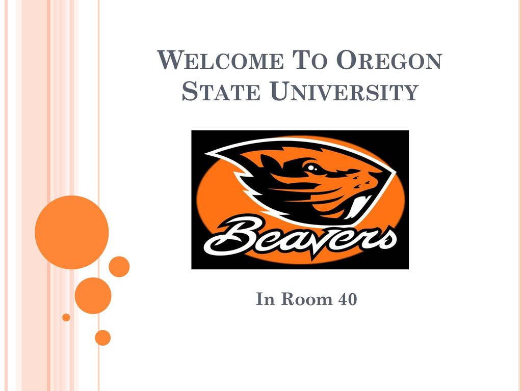 Oregon 桌布 壁紙 — 俄勒岡州立大學的歡迎標誌，上面有海狸吉祥物標誌和橙色裝飾圓圈，背景為潔淨的白色。