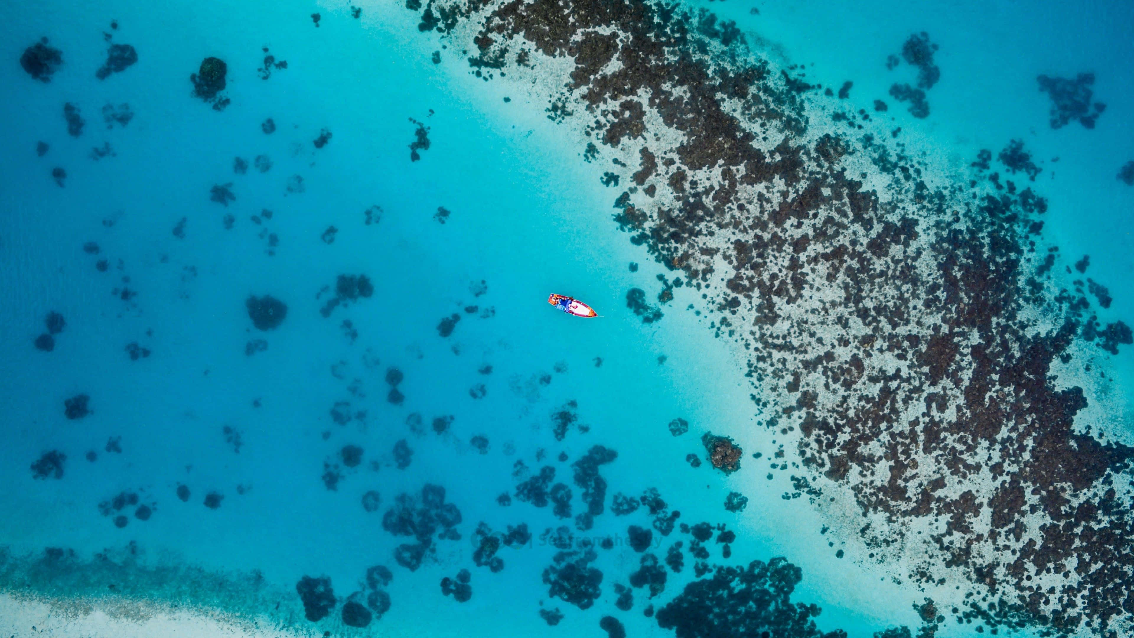海景 桌布 壁紙 — 俯瞰一個孤獨的人漂浮在色彩鮮豔的碧綠海水中的槳板上，旁邊是珊瑚礁。