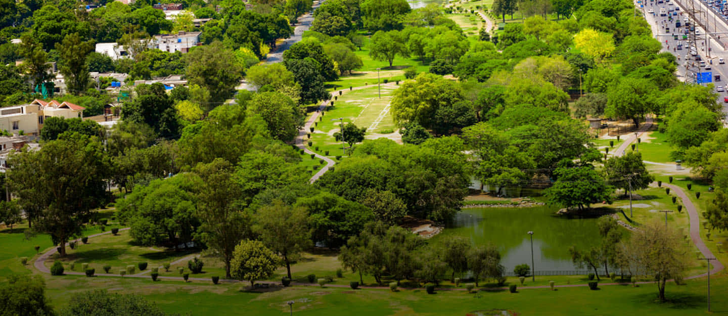 公園 桌布 壁紙 — 俯瞰一個鬱鬱蔥蔥的公園，內有蜿蜒小徑、湖邊樹木，以及毗鄰繁忙高速公路的住宅建築。