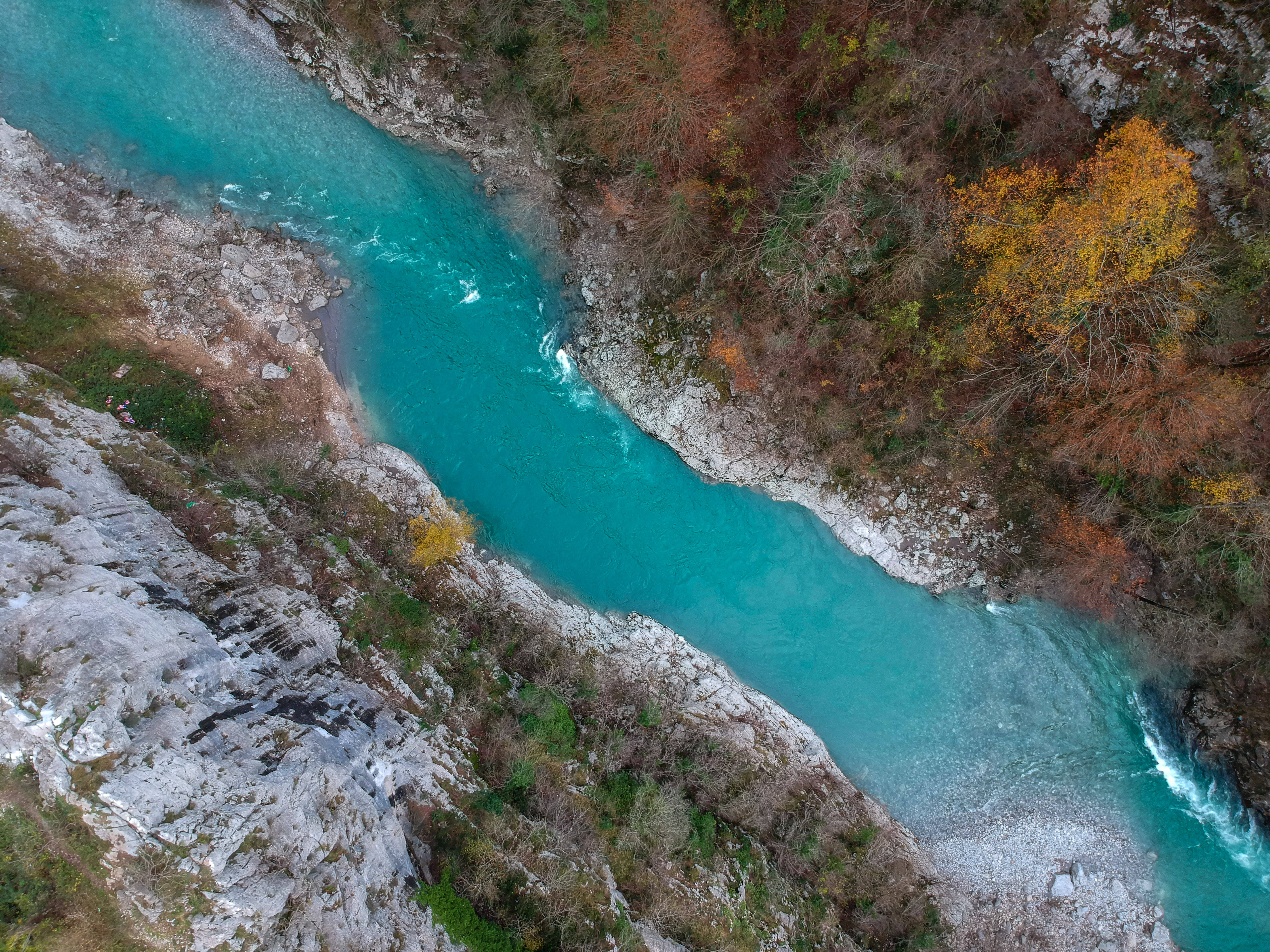 Montenegro 桌布 壁紙 — 俯瞰一條充滿活力的藍綠色河流蜿蜒穿過秋日森林覆蓋的懸崖和岩石河岸。