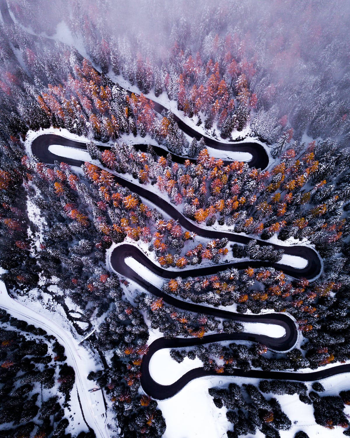 從上方俯瞰蜿蜒道路穿過雪林，樹木呈現秋色 — iPhone 4K 壁紙 壁紙