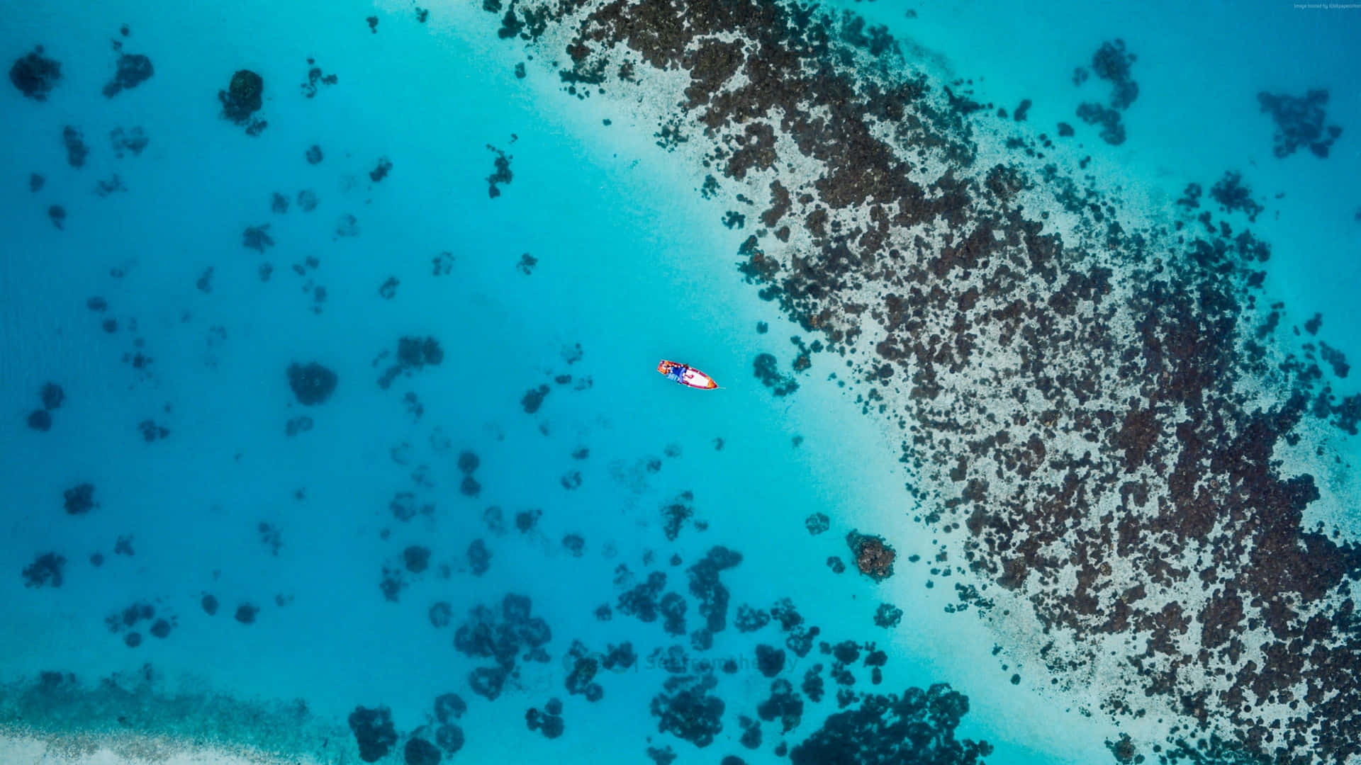 槳板上的人漂浮在珊瑚礁附近的碧綠海水中。 — 4K 海灘壁紙 壁紙