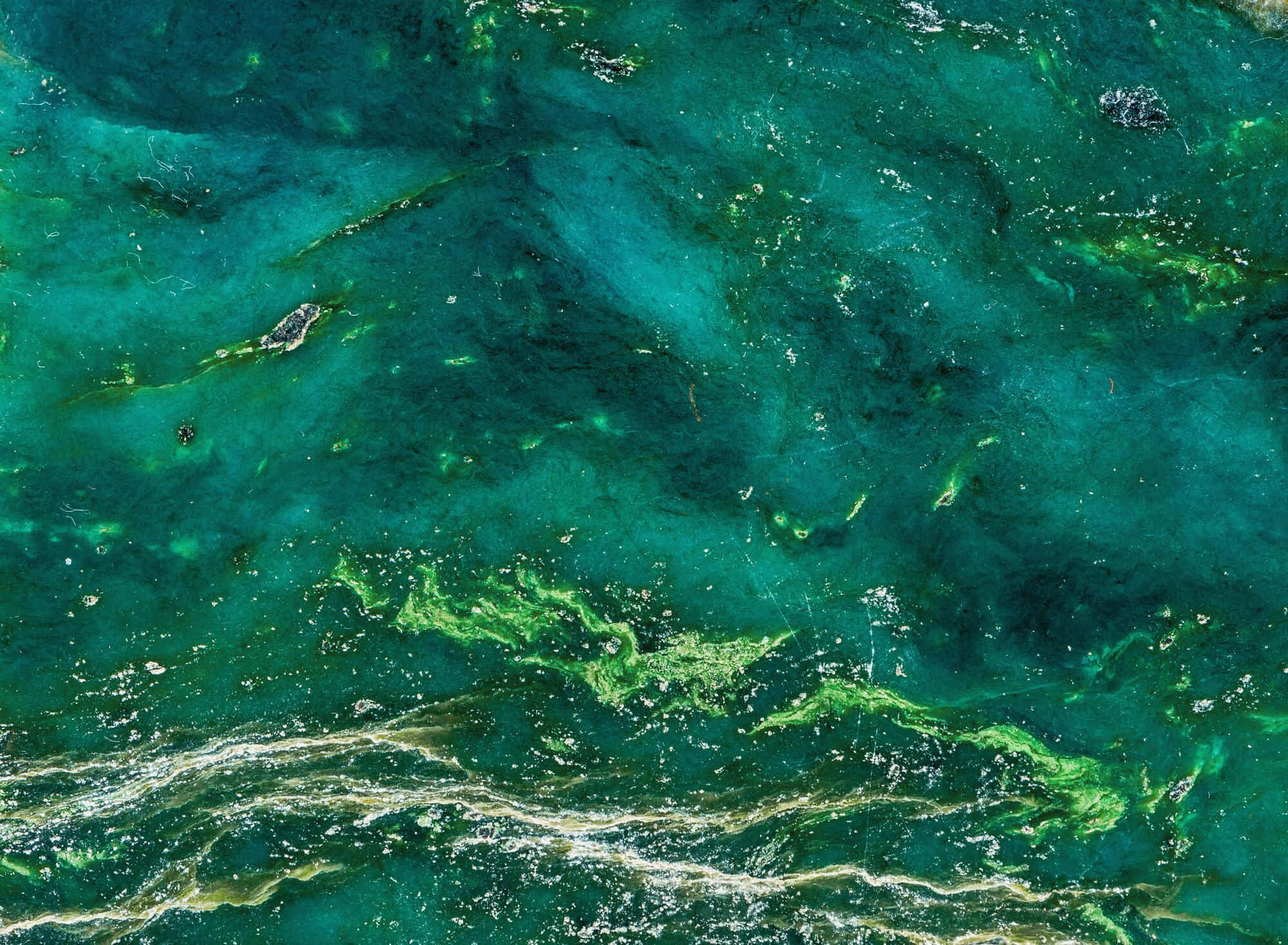 Green Texture 桌布 壁紙 — 俯瞰圖：碧綠與翡翠色海水旋轉交織，帶有綠色藻類圖案和陽光照射的漣漪。