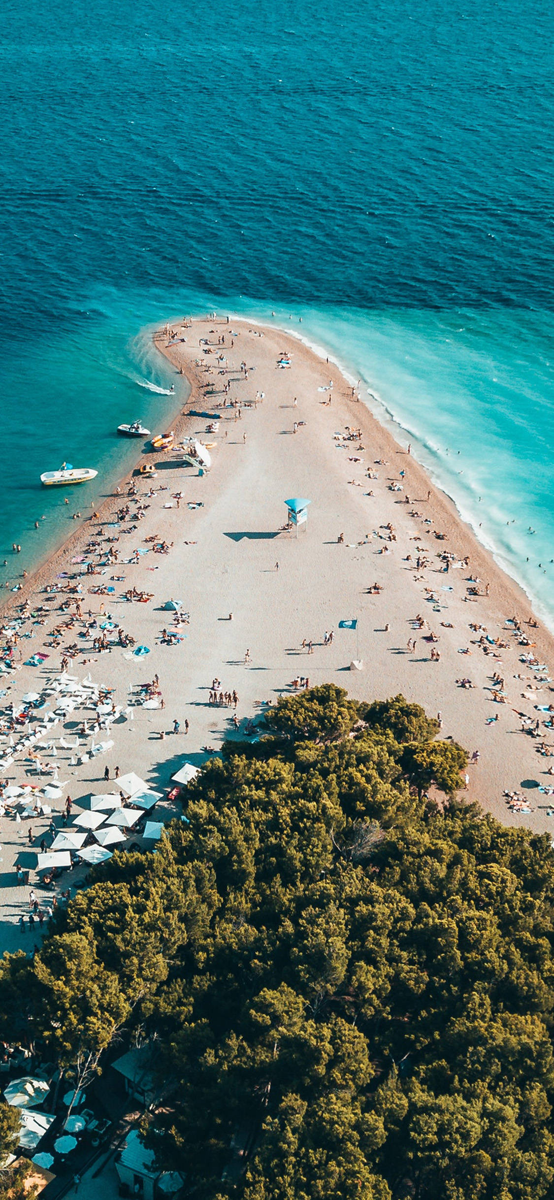 Beach Vacation 桌布 壁紙 — 俯瞰彎曲的沙灘，擠滿了在碧綠海水和綠樹下的日光浴者。