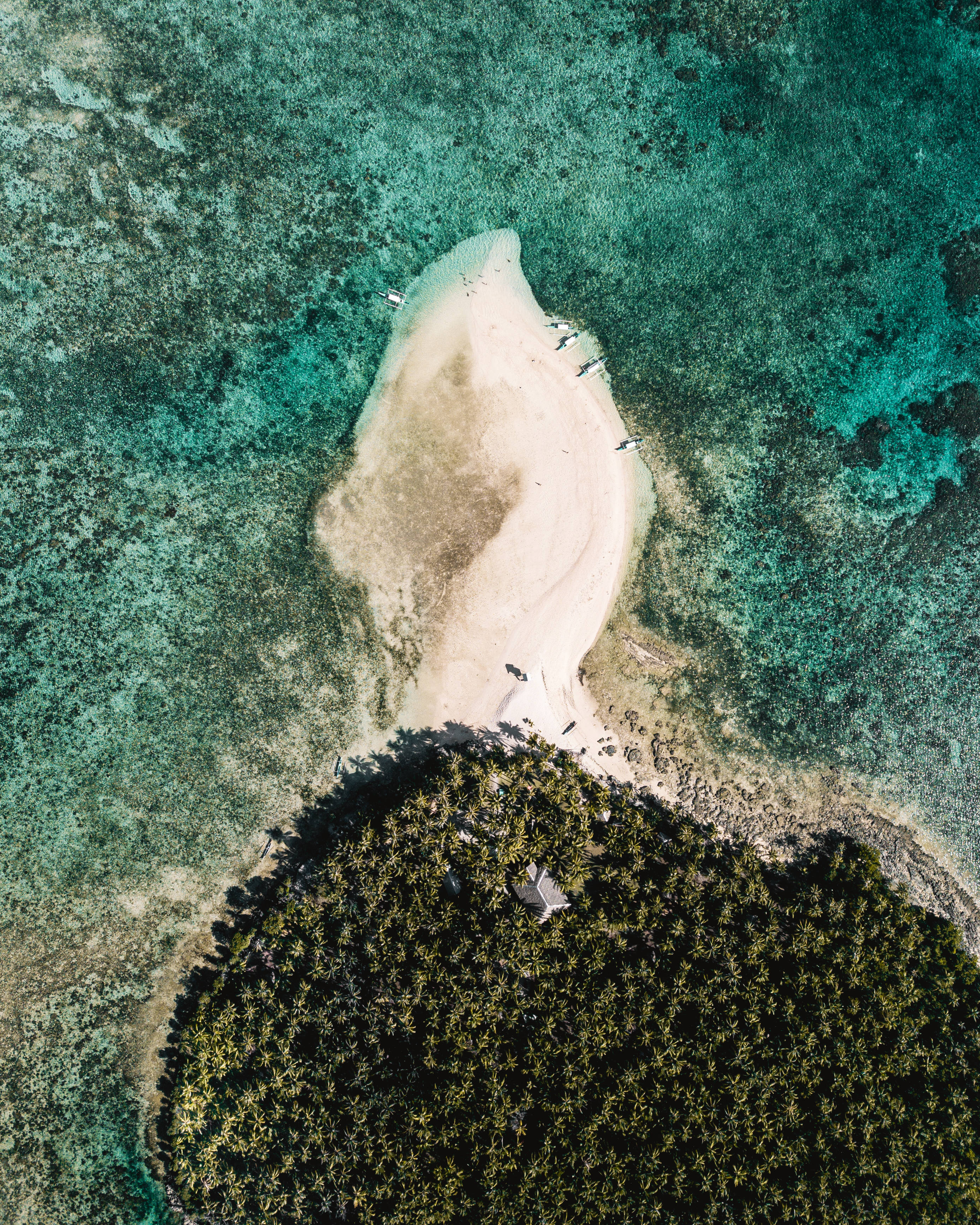 Siargao 桌布 壁紙 — 俯瞰新月形沙灘，位於碧綠海水與茂密綠色叢林之間。