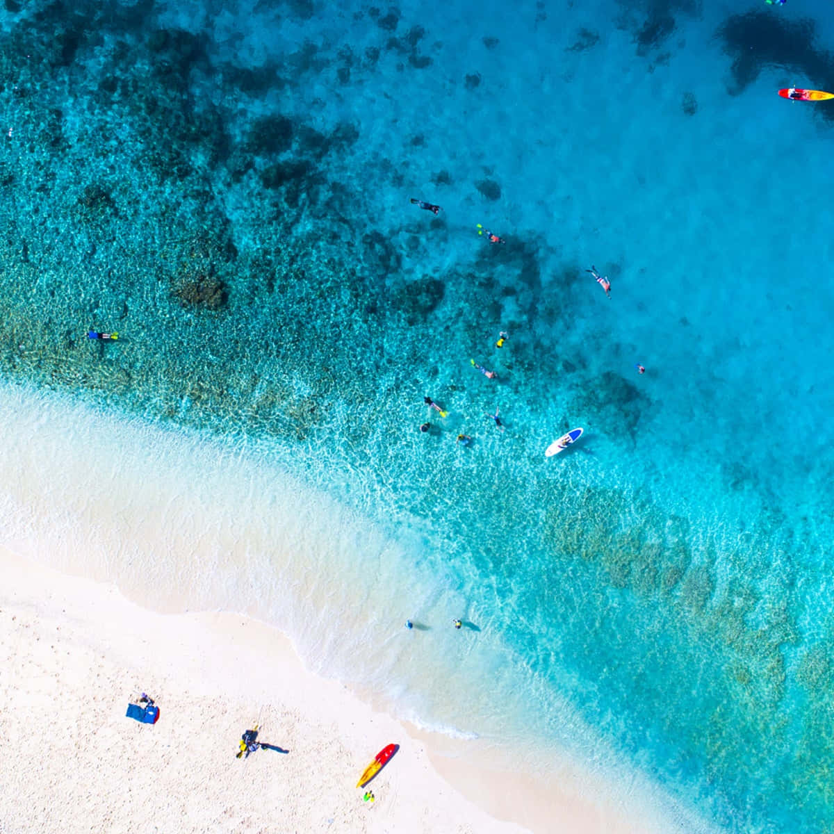 Fiji Beach 桌布 壁紙 — 俯瞰碧綠海水與白色沙灘交匯，人們正在浮潛和划槳板。