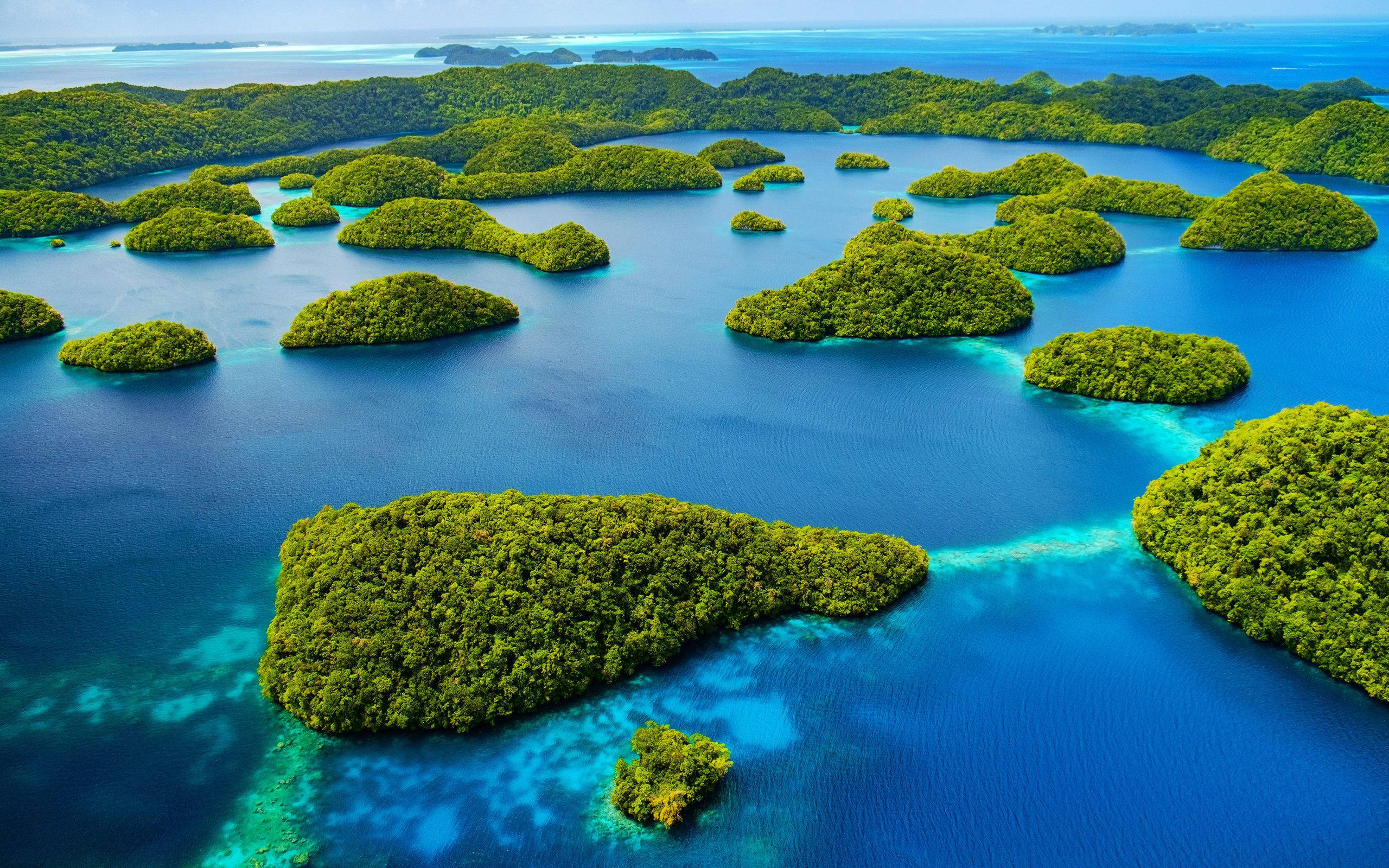 Palau 桌布 壁紙 — 俯瞰茂密綠色島嶼散落在充滿活力的藍綠色和深藍色水域中的空拍圖。