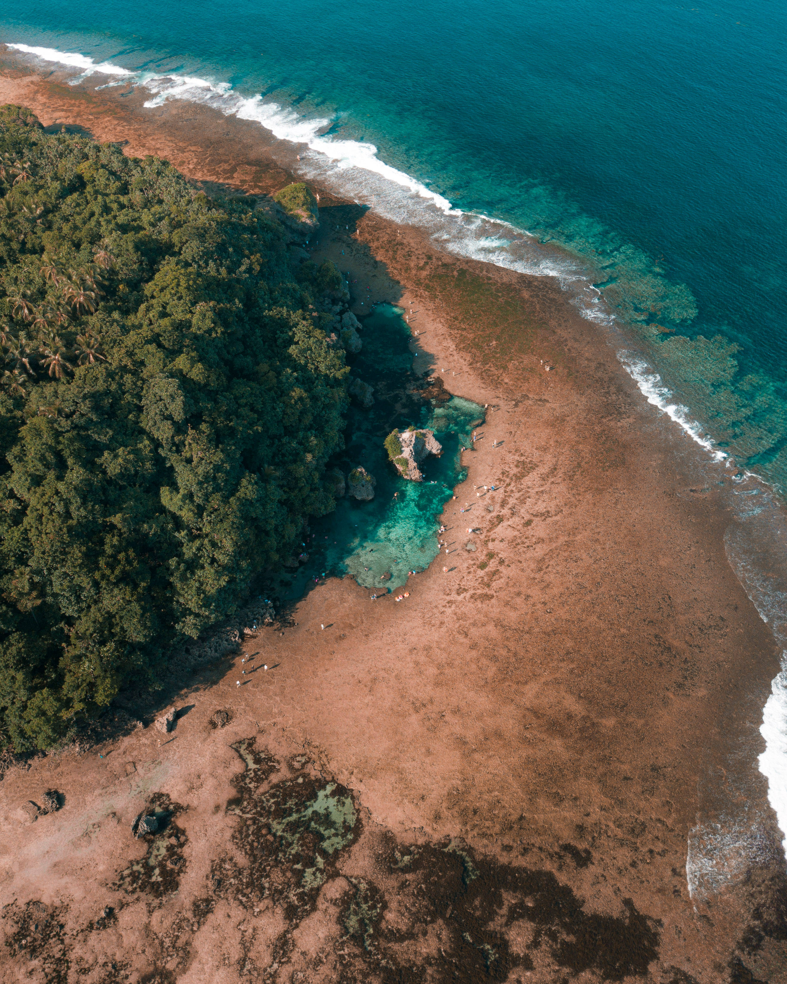 Siargao 桌布 壁紙 — 俯瞰茂密綠色森林與碧綠海水及紅褐色珊瑚礁海岸線交匯的景色。
