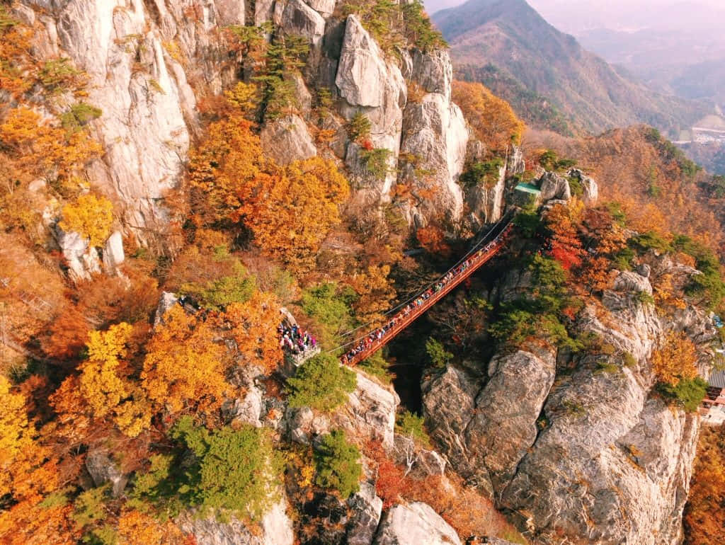 Fall Bridge 桌布 壁紙 — 俯瞰蜿蜒的吊橋，承載著遠足者穿越陡峭的懸崖，懸崖上點綴著火紅的秋葉。