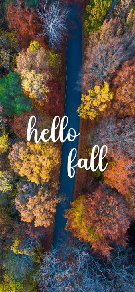 Hello Fall 桌布 壁紙 — 俯瞰蜿蜒道路穿過色彩繽紛的秋日森林，帶有「hello fall」文字疊加。