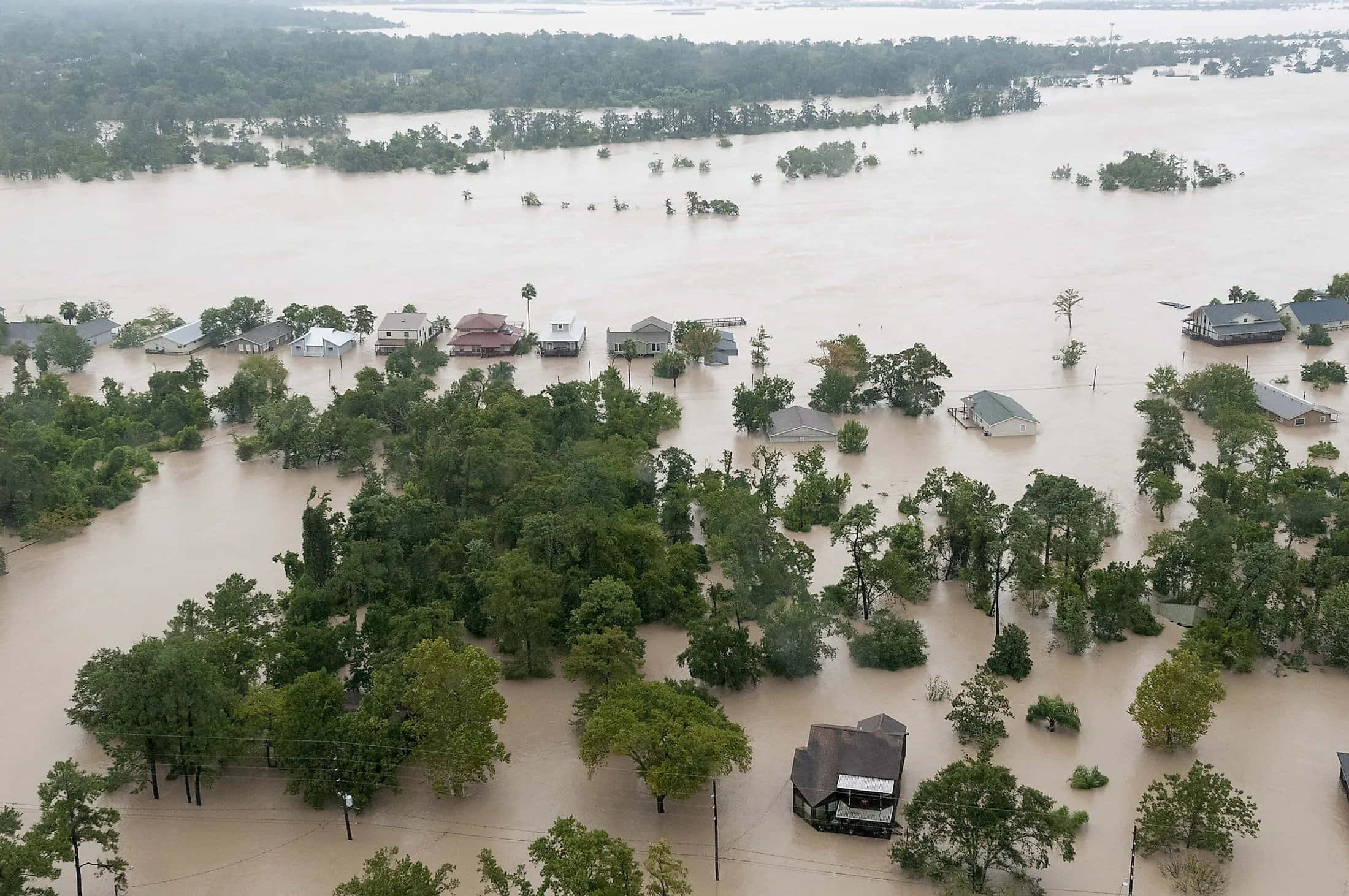 Natural Disaster 桌布 壁紙 — 俯瞰被洪水淹沒的住宅區，房屋和樹木淹沒在泥濘的棕色水中。