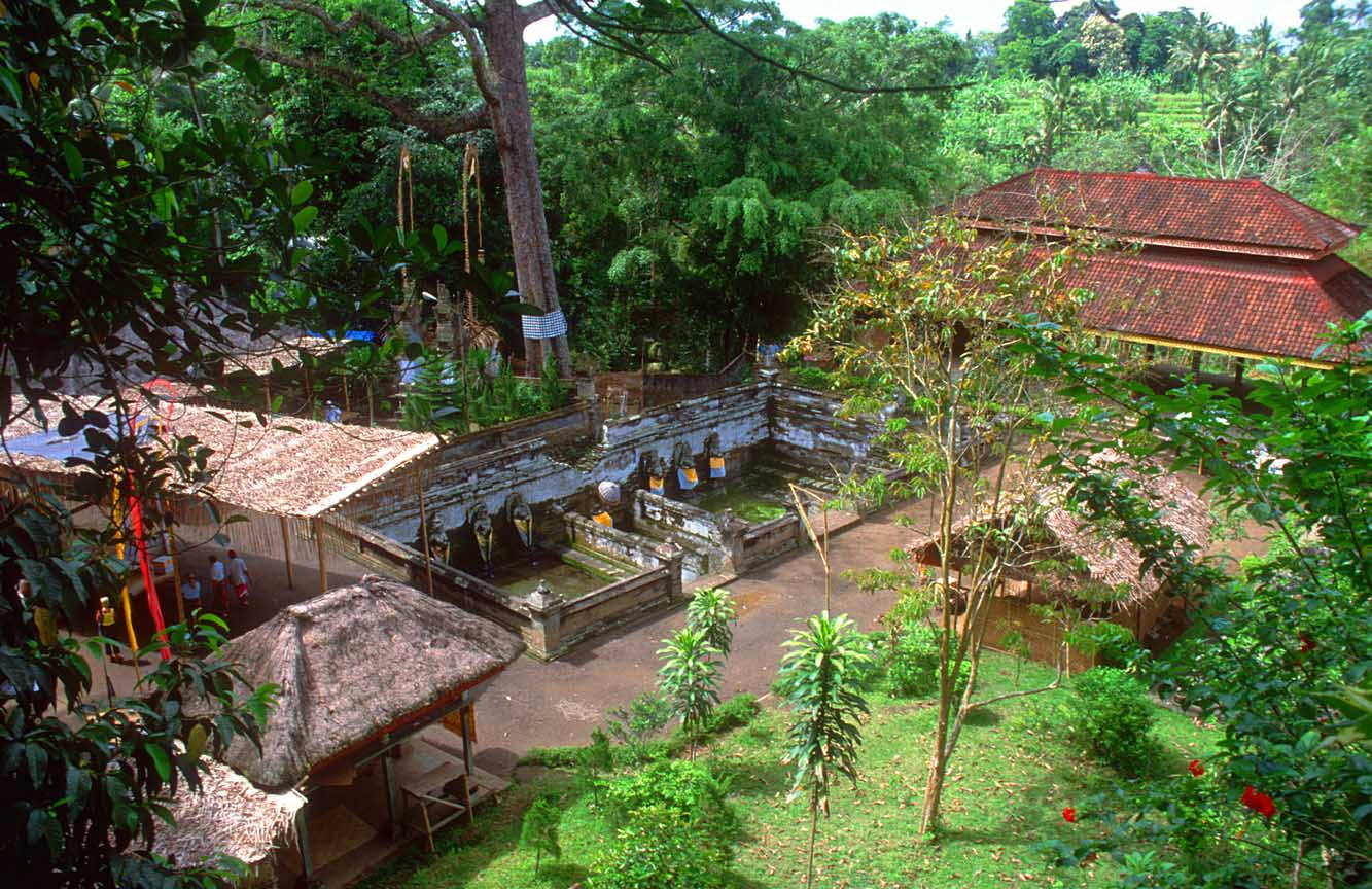 植物 桌布 壁紙 — 俯瞰鬱鬱蔥蔥的峇里島寺廟建築群，石池周圍環繞著茂密的綠植和傳統的茅草屋頂小屋。