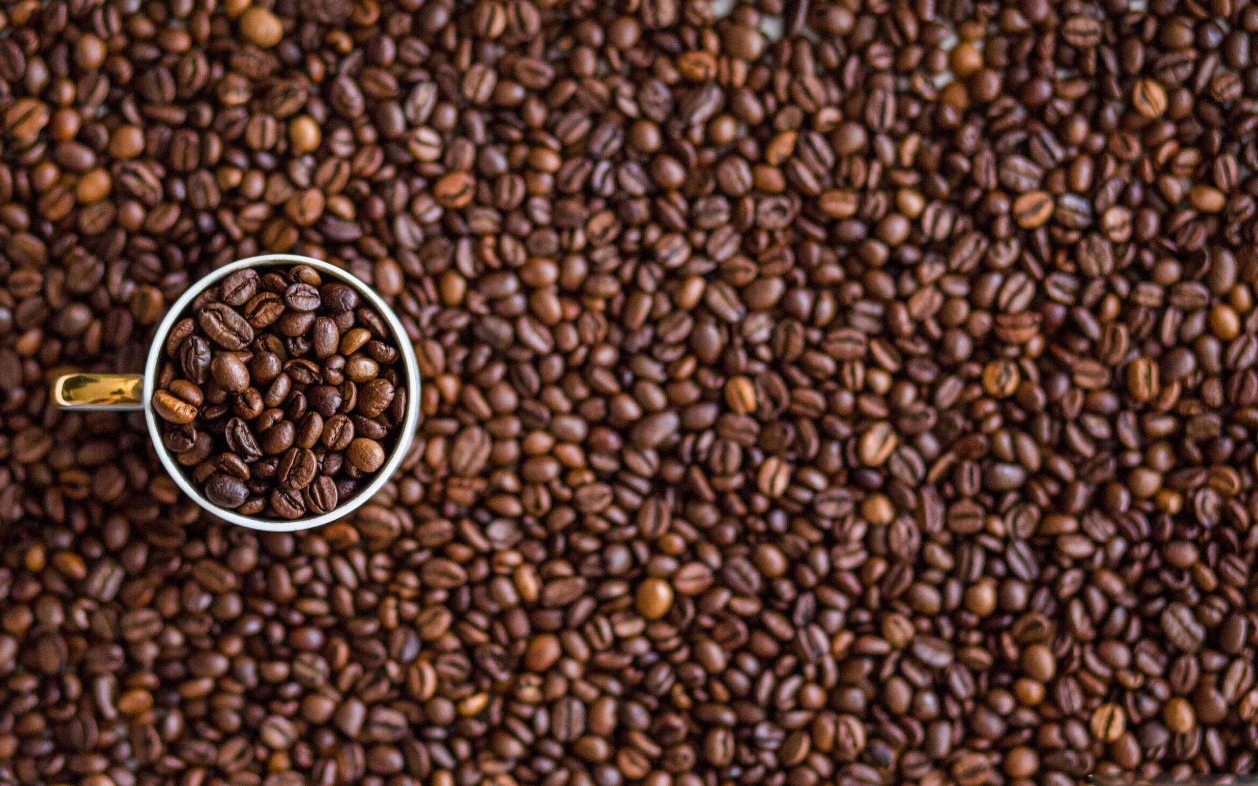 Coffee Bean 桌布 壁紙 — 俯視一個白色馬克杯，裡面裝滿咖啡豆，放在烤咖啡豆床上。