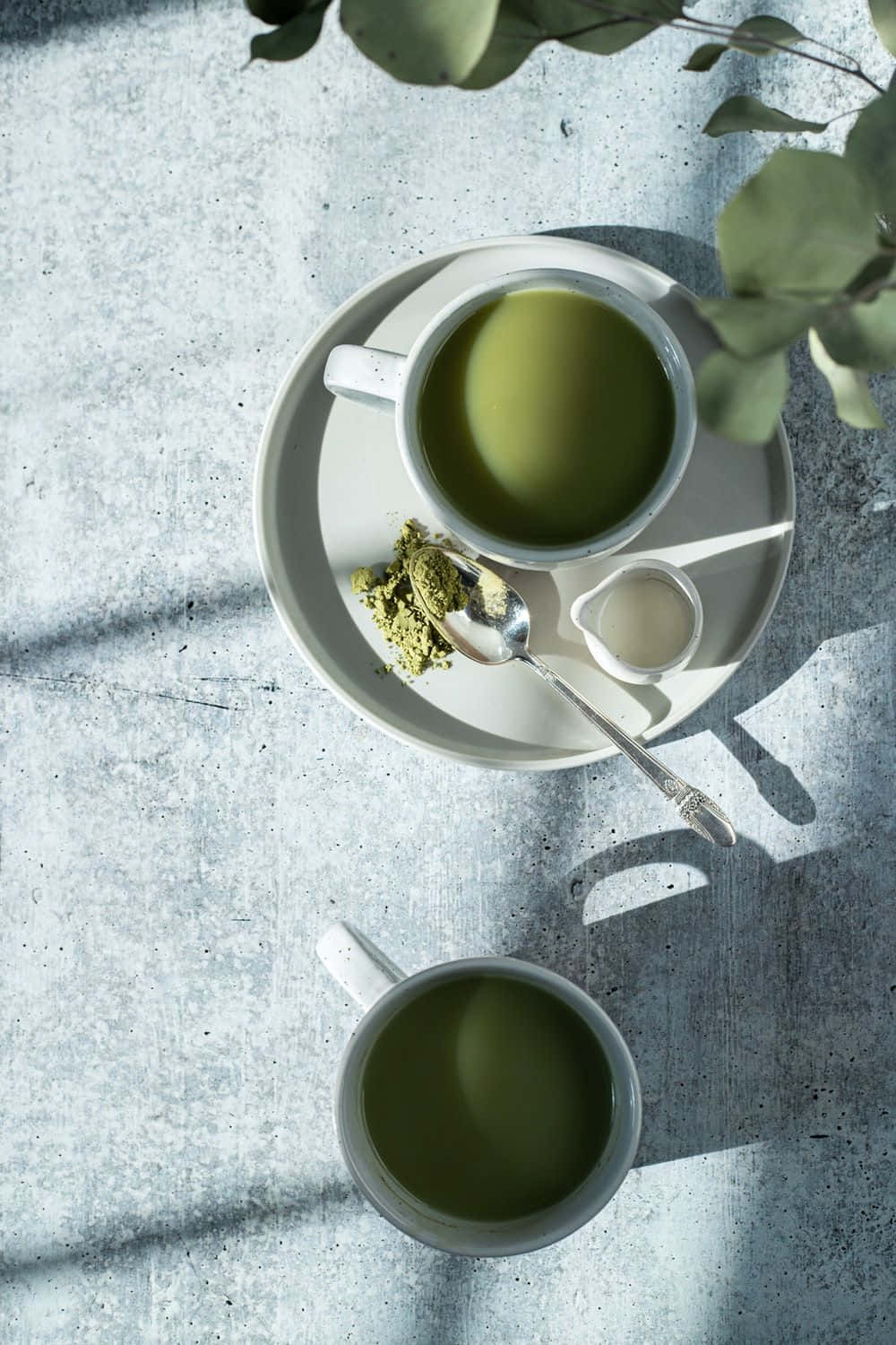 Matcha 桌布 壁紙 — 俯視兩個白色馬克杯，裝滿鮮綠色抹茶，置於有紋理的灰色表面上，樹枝葉影投下陰影。