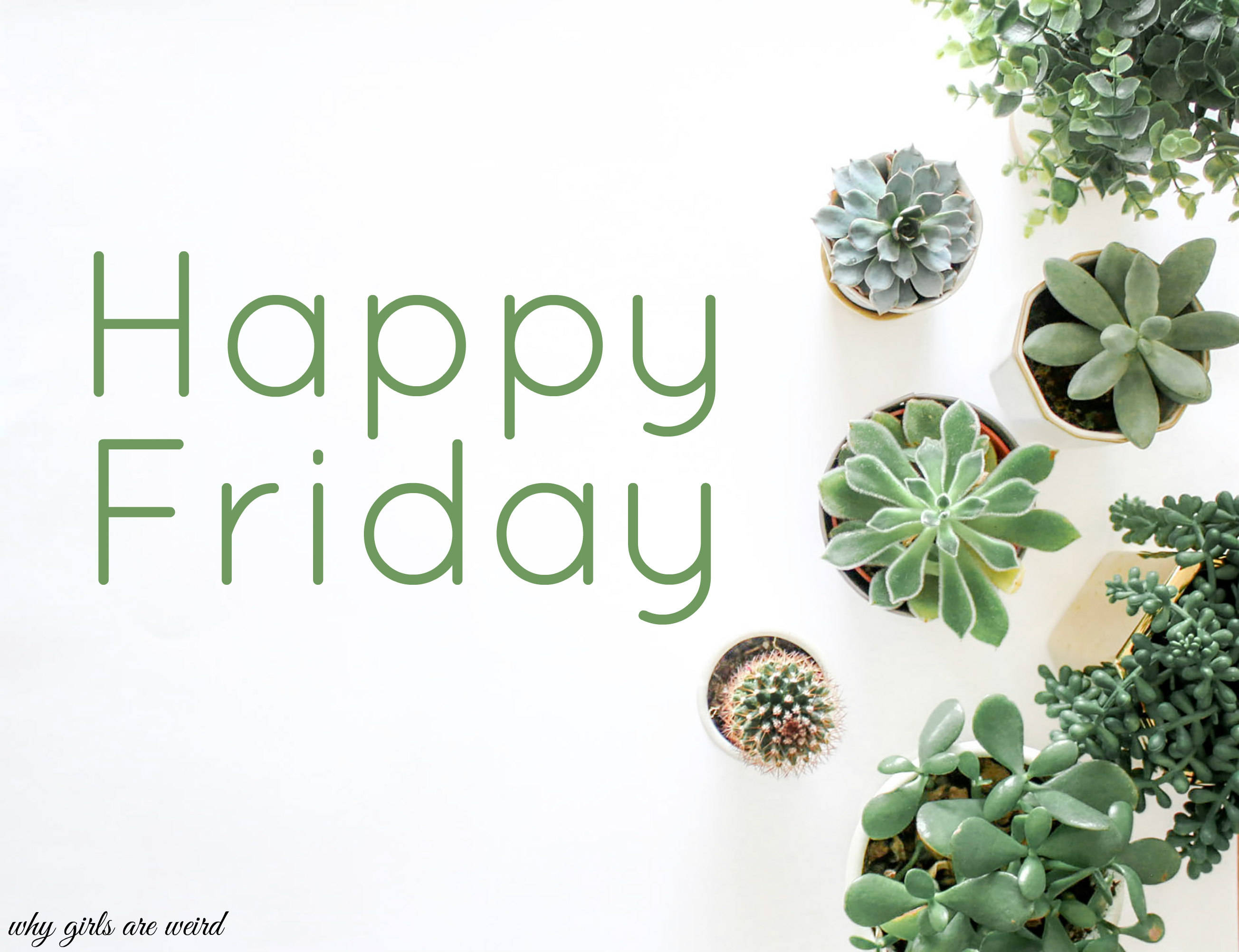Friday 桌布 壁紙 — 俯視圖，白色表面上圍繞綠色「Happy Friday」文字排列的各種多肉植物和仙人掌盆栽。