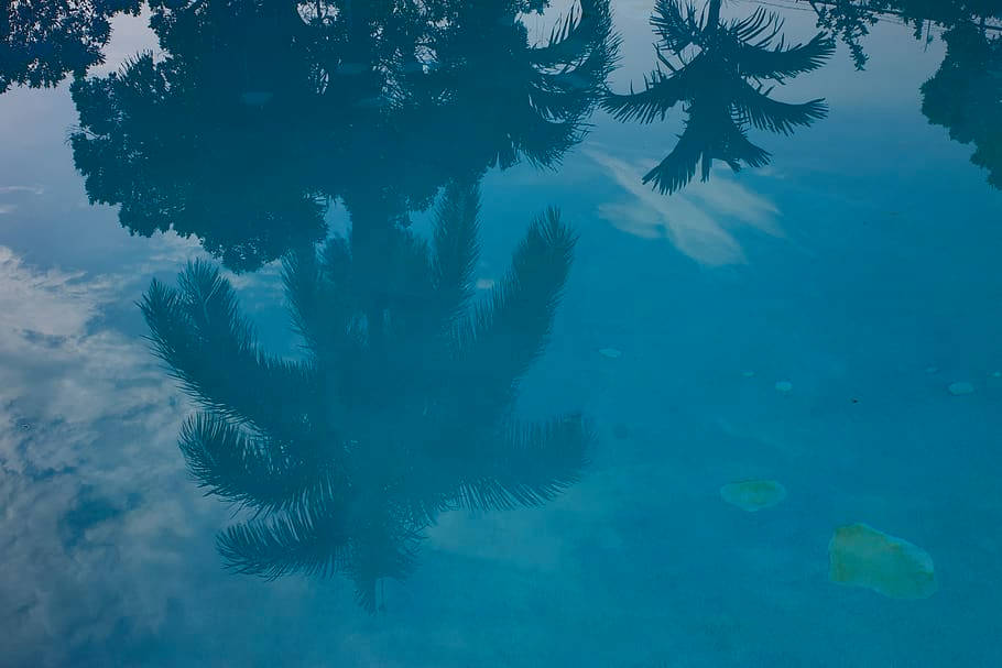 Jamaica 桌布 壁紙 — 倒置的棕櫚樹剪影在平靜的綠松石泳池中蕩漾，映照著多雲的天空。