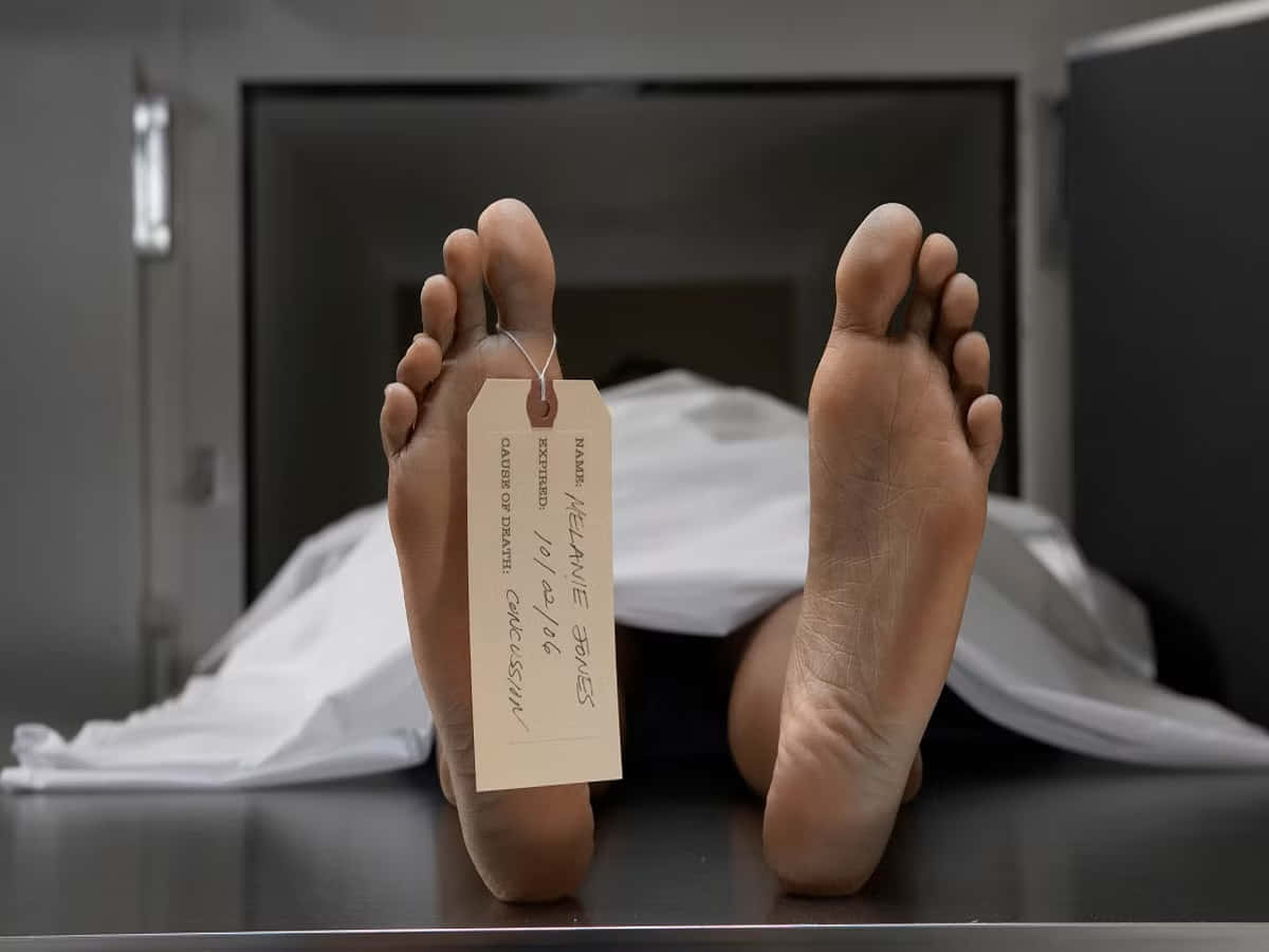 死亡 桌布 壁紙 — 停屍間內一名死者腳部的特寫，腳趾上掛著手寫的身份識別標籤。