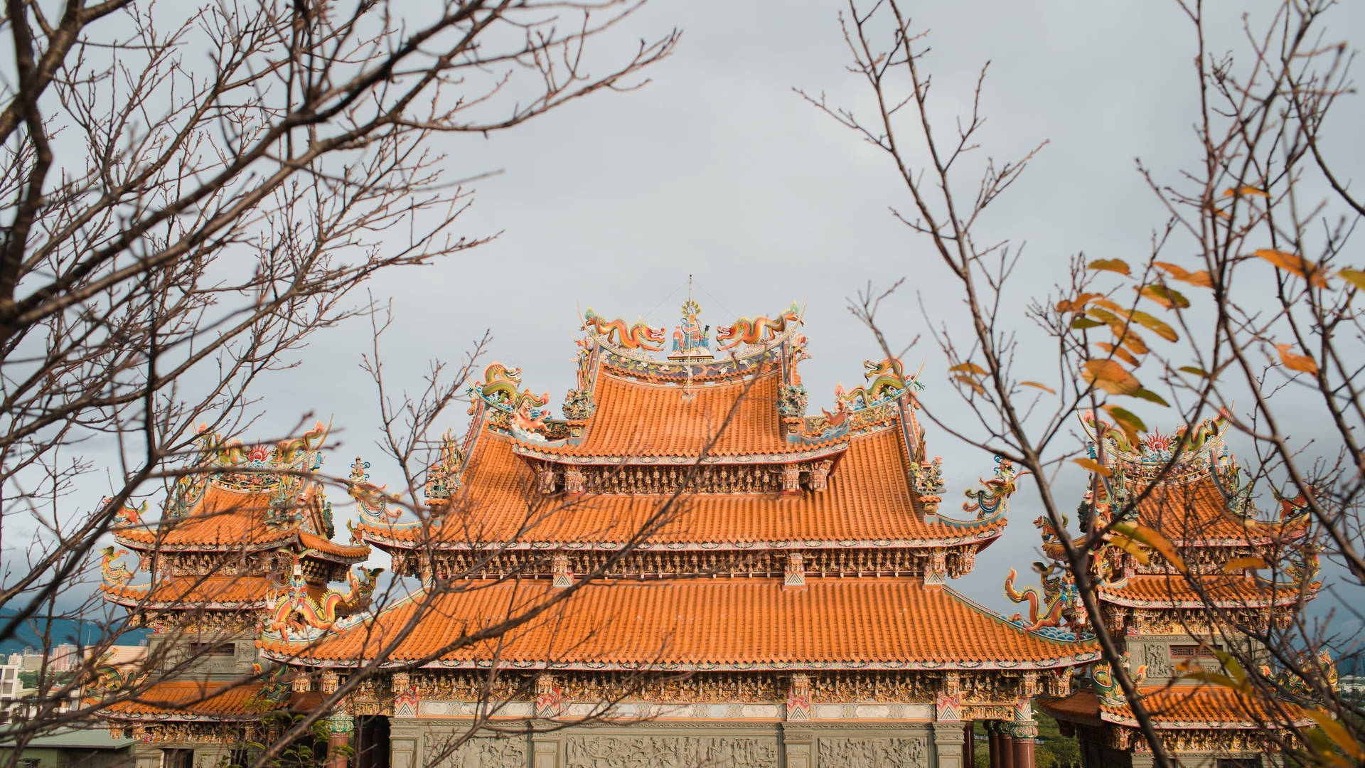 冬日光禿樹枝框住的傳統中國寺廟屋頂。