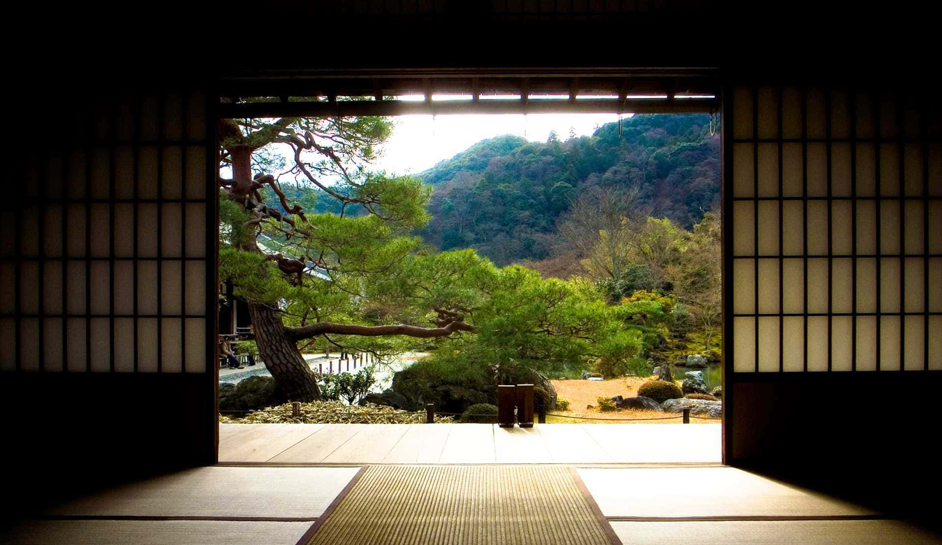 禪 桌布 壁紙 — 傳統日式拉門框住一個寧靜的花園，裡面有一棵彎曲的松樹和樹林覆蓋的山坡，沐浴在柔和的日光中。