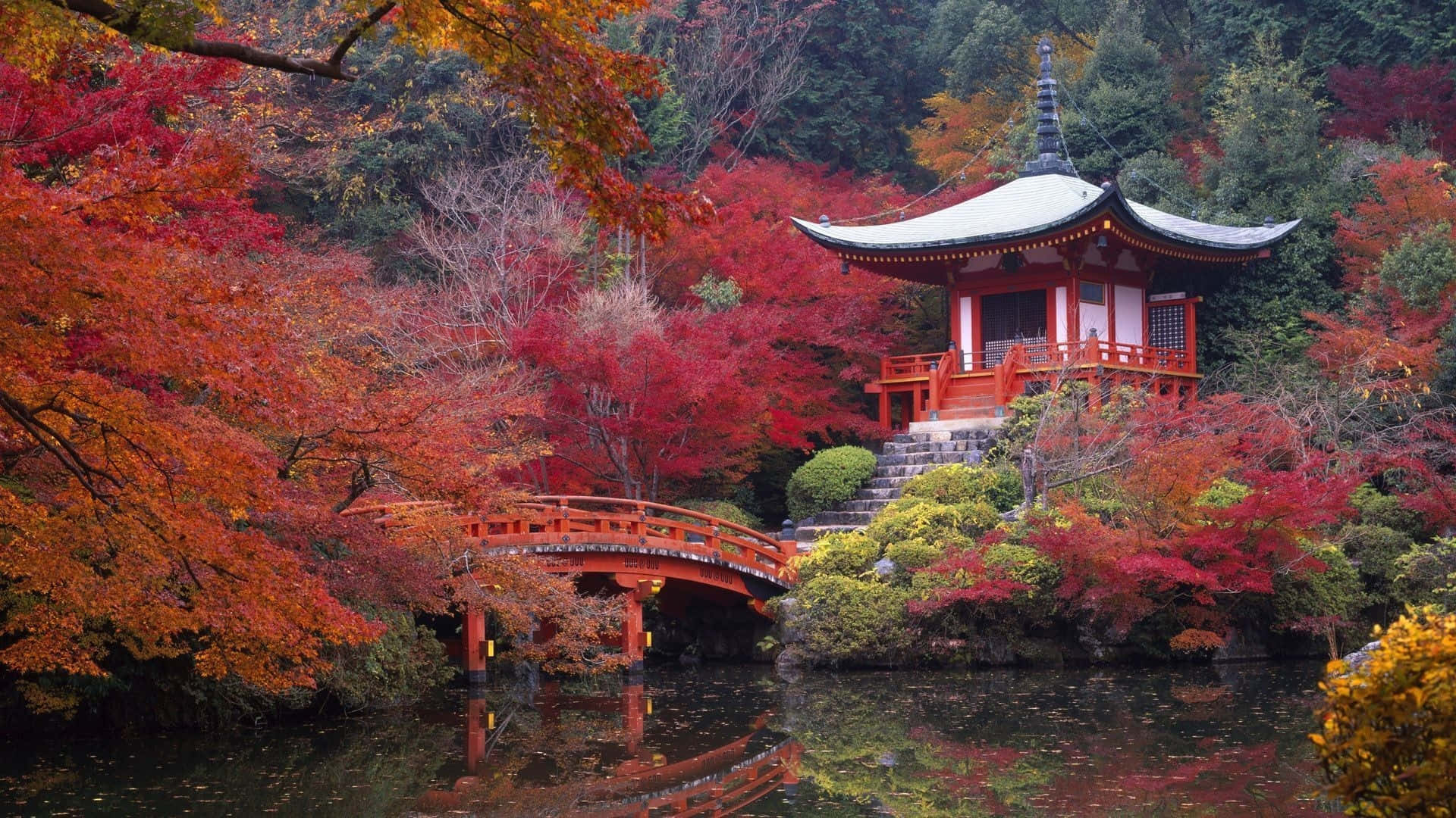 桌布 壁紙 — 傳統日本寺廟和橋樑，周圍環繞著鮮豔的紅色和橙色秋葉，倒映在平靜的水面上。