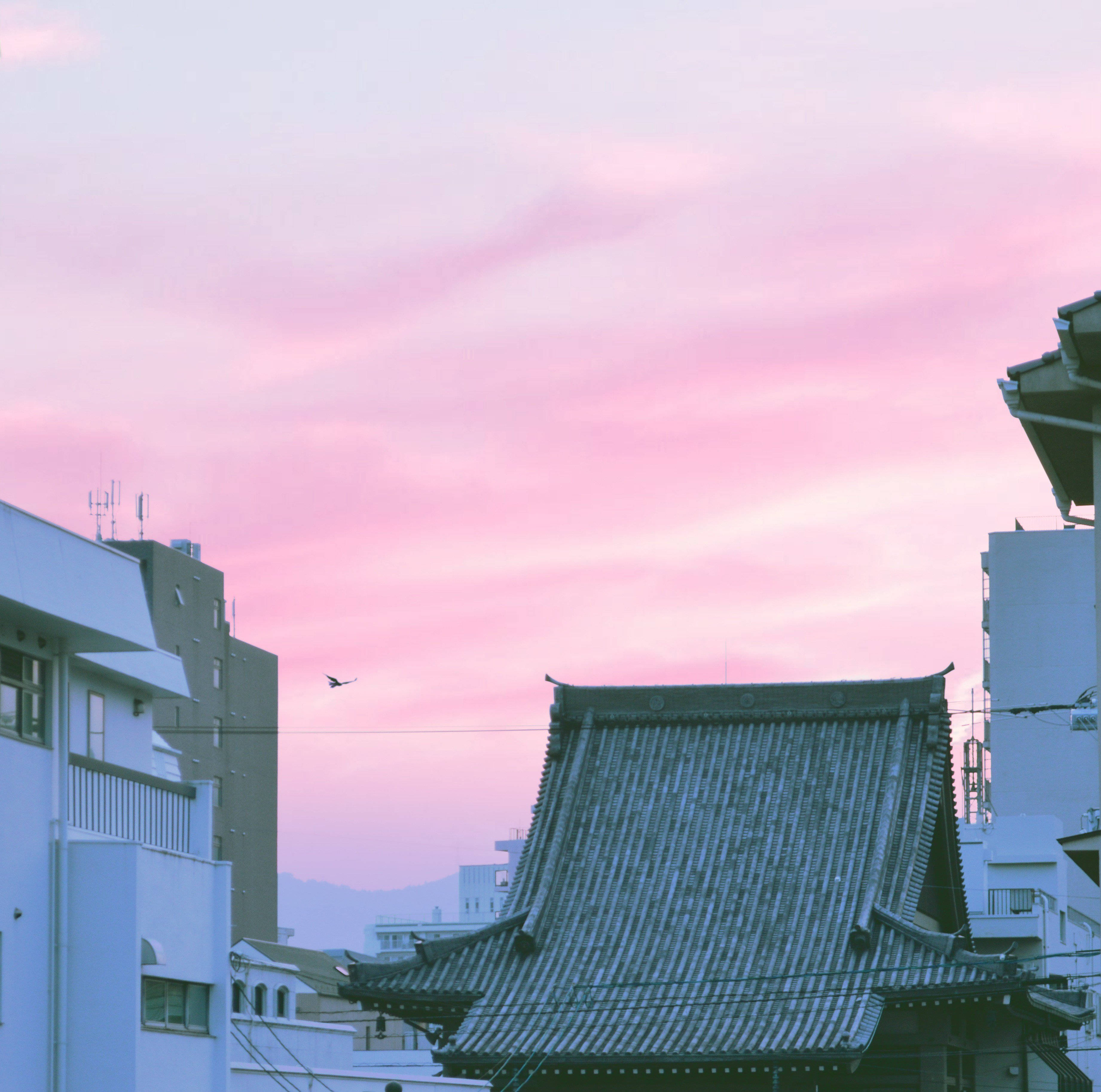 pastel 桌布 壁紙 — 傳統日本寺廟屋頂與現代建築在柔和粉紅色的暮色天空下形成對比。