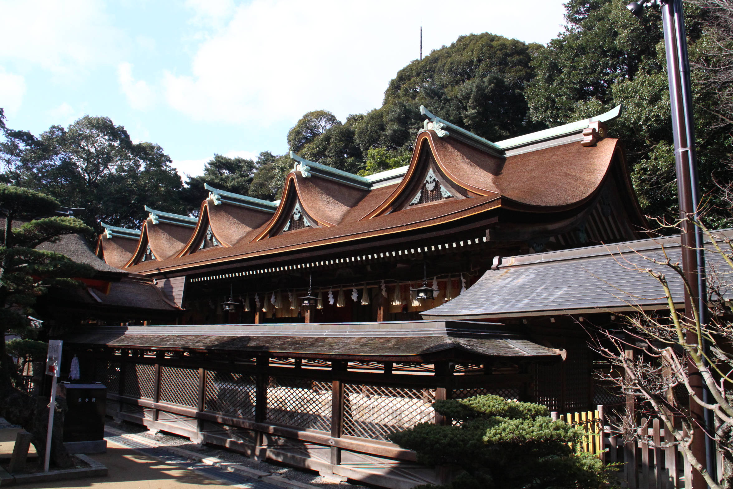 Fukuoka 桌布 壁紙 — 傳統日本神社，擁有彎曲的棕色屋頂和綠色飾邊，坐落在茂密的綠樹之中，天空明亮。