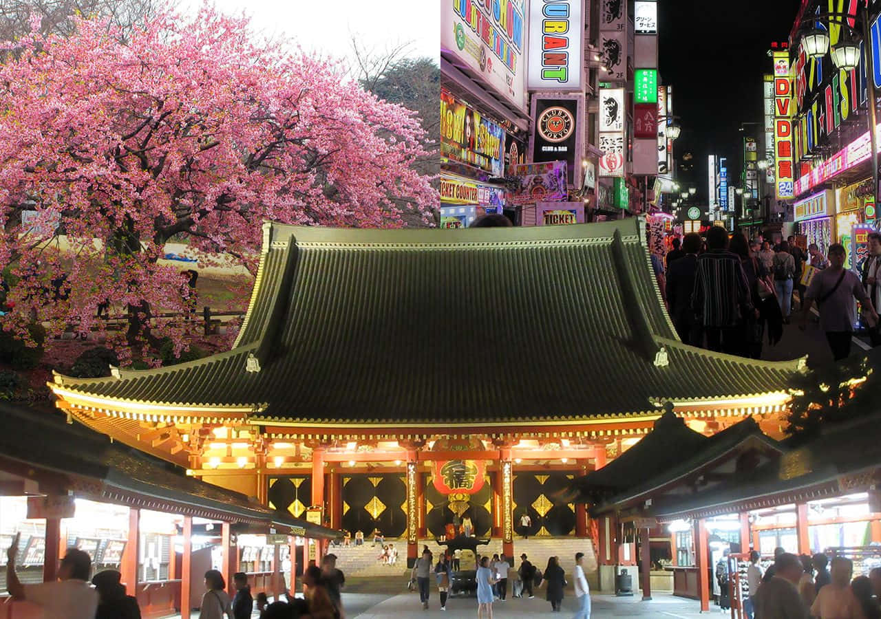 Travel Desktop 桌布 壁紙 — 傳統日本神社的充滿活力的夜景，閃爍的燈籠和櫻花，旁邊是繁華的霓虹燈街道。