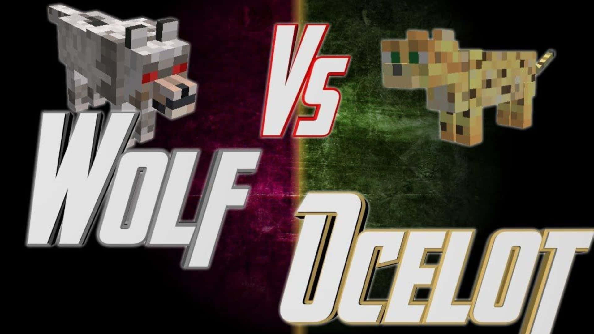 Minecraft Ocelot 桌布 壁紙 — 像素化的 Minecraft 狼和豹貓在對比背景中以大膽的「VS」圖形對峙。