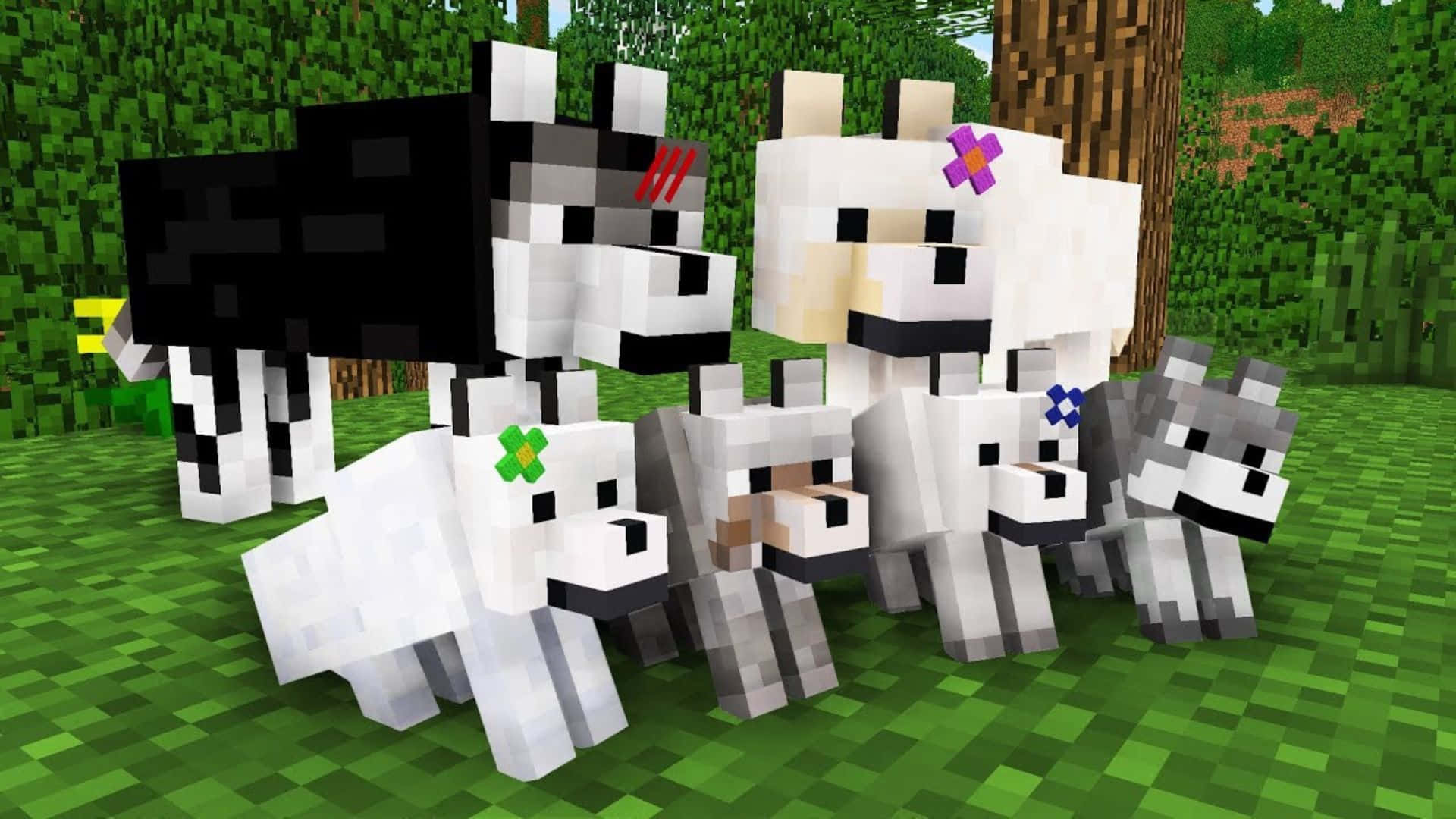 Minecraft Wolf 桌布 壁紙 — 像素化的Minecraft狼群帶著色彩繽紛的花朵飾品，一起站在長滿草的森林空地中。