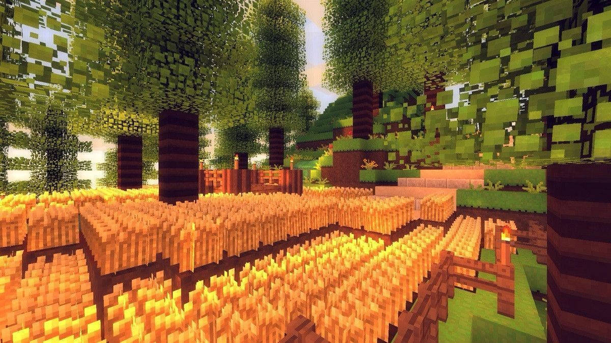 Minecraft Aesthetic 桌布 壁紙 — 像素化的Minecraft金色小麥田，在柔和天空下，有方塊狀的綠色樹木和木柵欄。