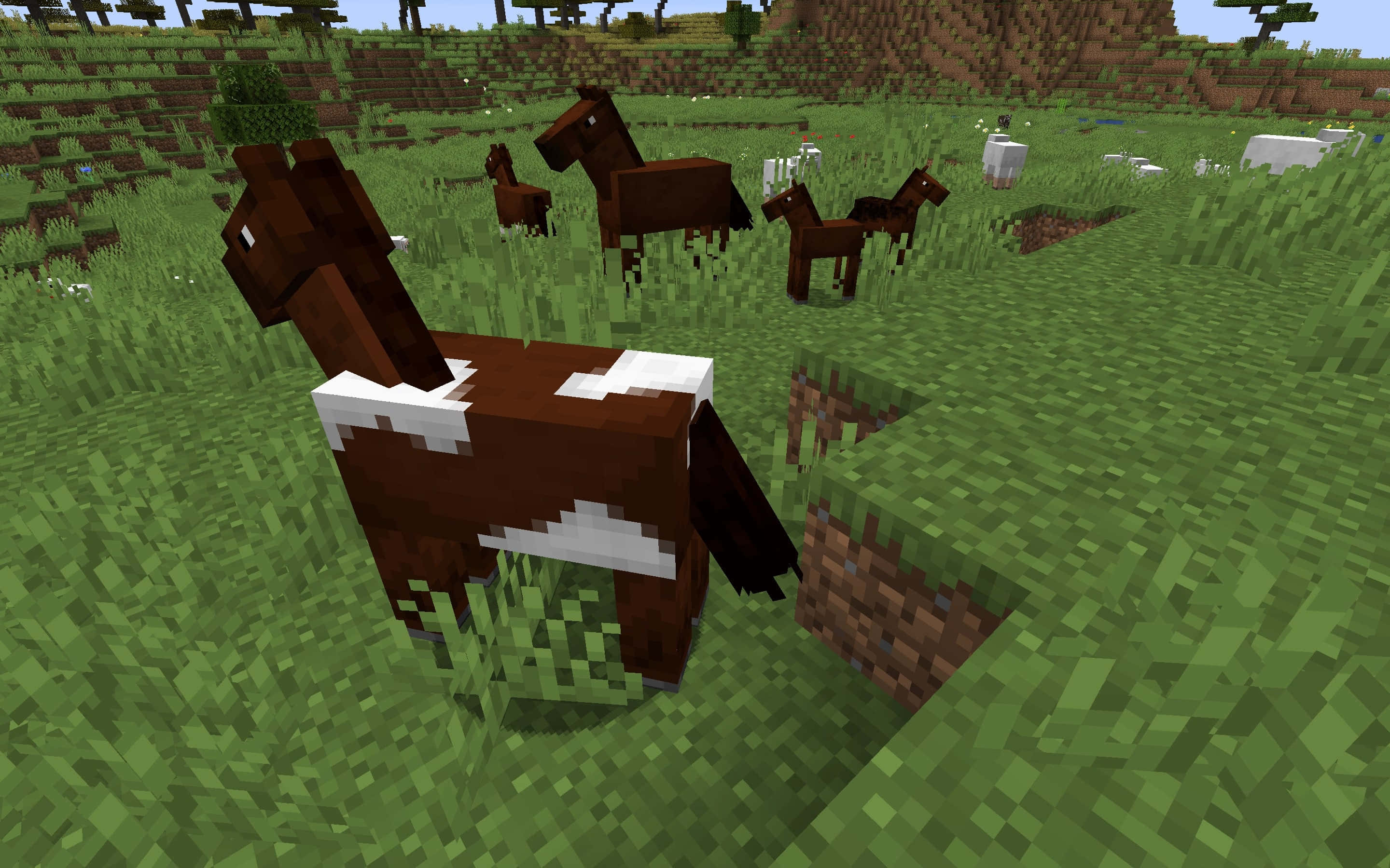 Minecraft Farming 桌布 壁紙 — 像素化的棕色馬匹帶有白色斑紋，在Minecraft中晴朗天空下的方塊綠色田野中吃草。