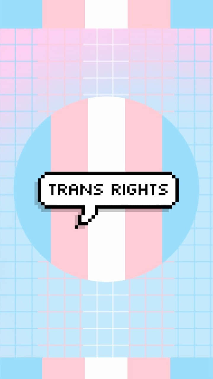 Trans Pride 桌布 壁紙 — 像素藝術桌布，帶有跨性別旗幟條紋和對話框，上面寫著跨性別權利，背景為網格。
