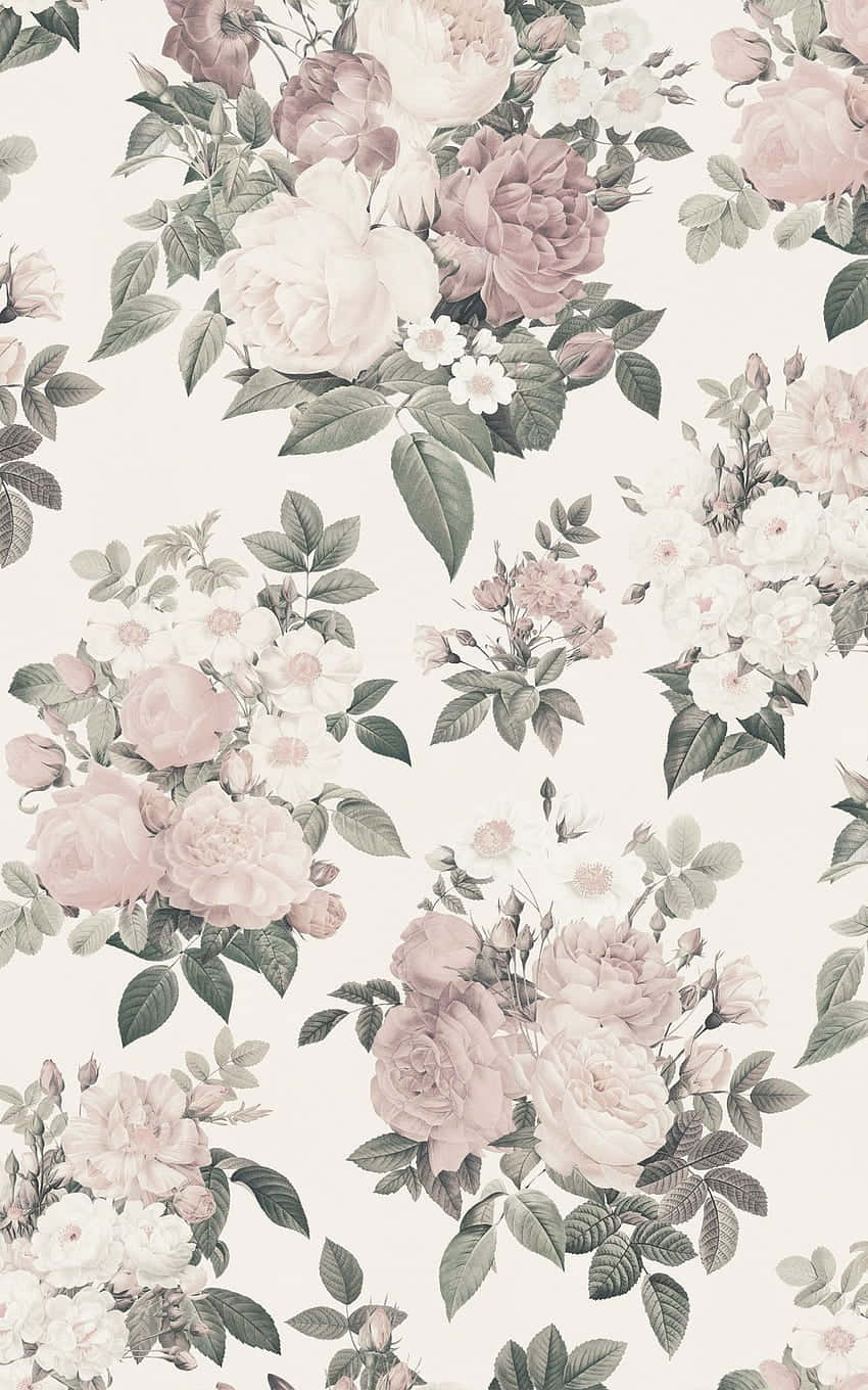 Flowers Aesthetic 桌布 壁紙 — 優雅復古花卉壁紙，帶有柔和的粉紅色和白色玫瑰以及綠色葉子，背景為奶油色。