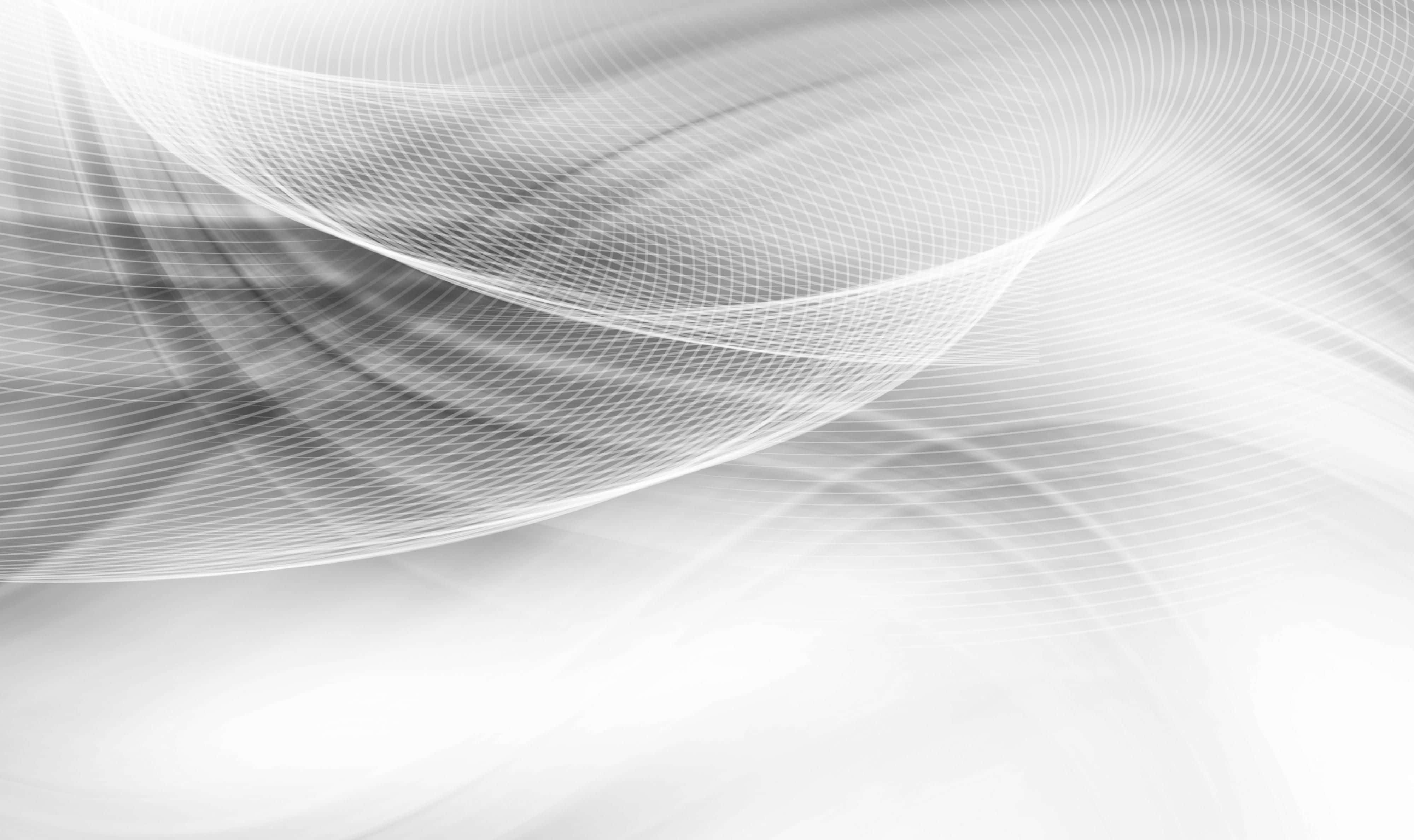 Grey Desktop 桌布 壁紙 — 優雅流動的白色和灰色曲線，以柔和漸層創造出寧靜的抽象數位背景。