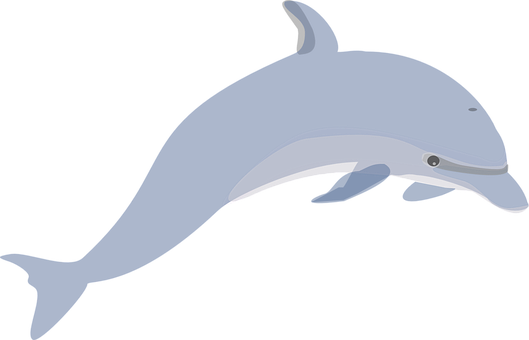 優雅海豚插畫 壁紙