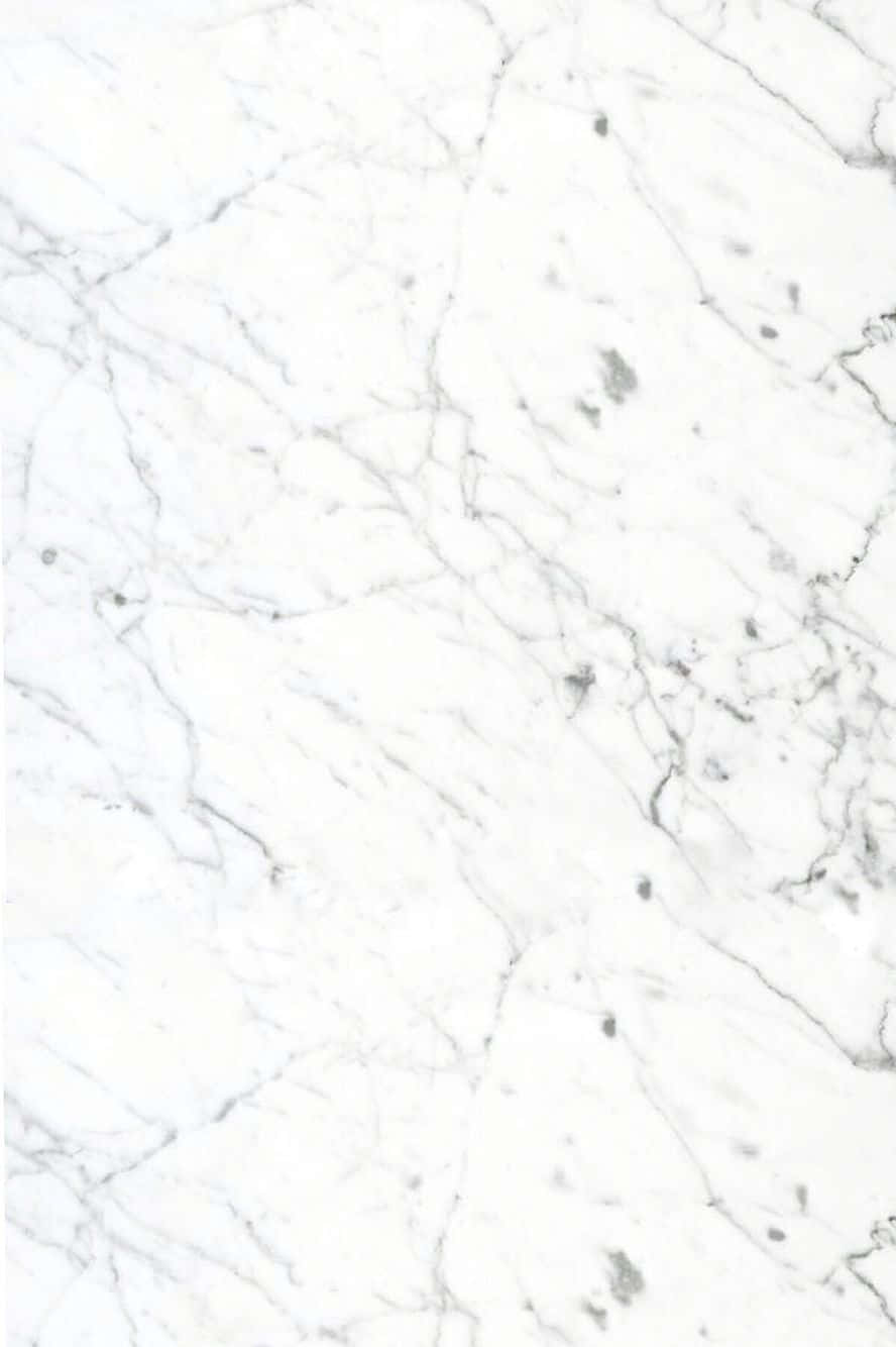 Best Marble 桌布 壁紙 — 優雅白色大理石的特寫，帶有複雜的灰色紋理和微妙的深色斑點。