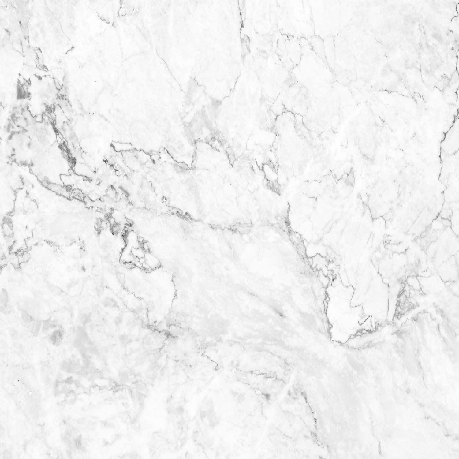 Marble Phone 桌布 壁紙 — 優雅白色大理石的近距離特寫，帶有細微灰色紋理和光滑拋光表面。