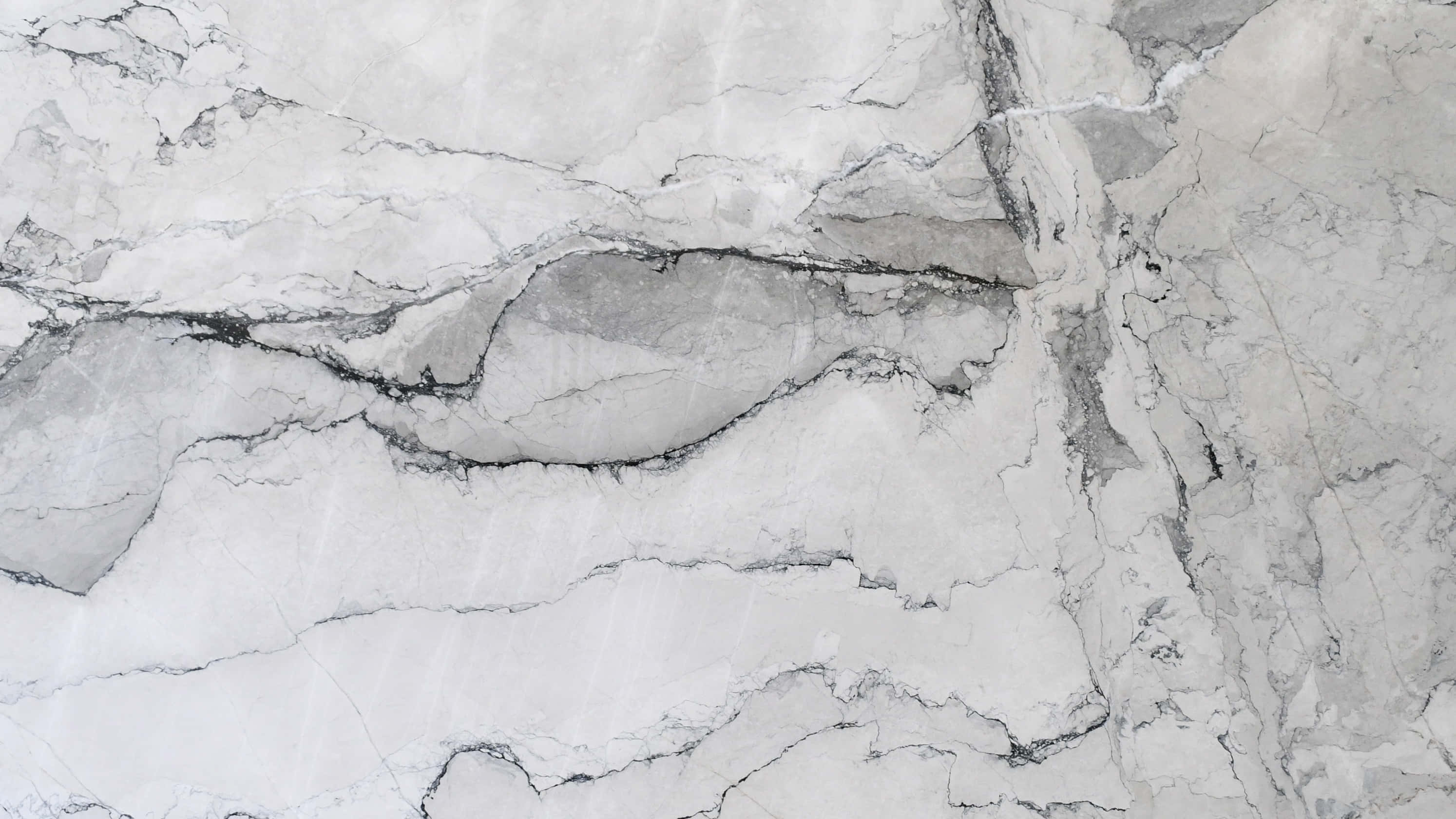 Grey Marble 桌布 壁紙 — 優雅白色大理石的近距離特寫，帶有精緻的灰色和黑色紋理圖案。