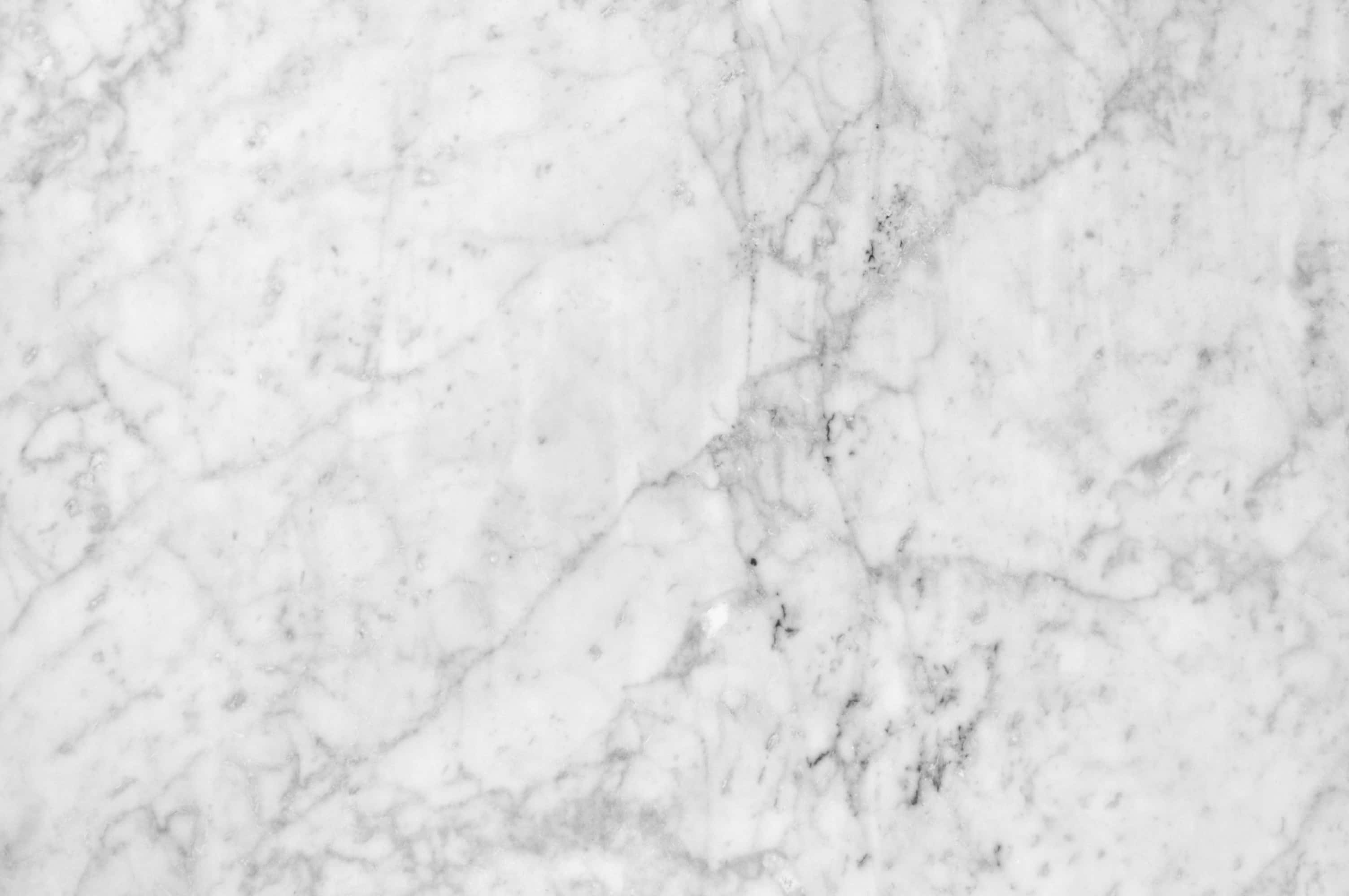 White Marble 桌布 壁紙 — 優雅白色大理石的近距離特寫，帶有細微灰色紋理和柔軟自然質感。