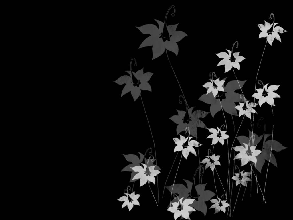 Flowers 桌布 壁紙 — 優雅的單色花卉剪影在漆黑背景上優美綻放。