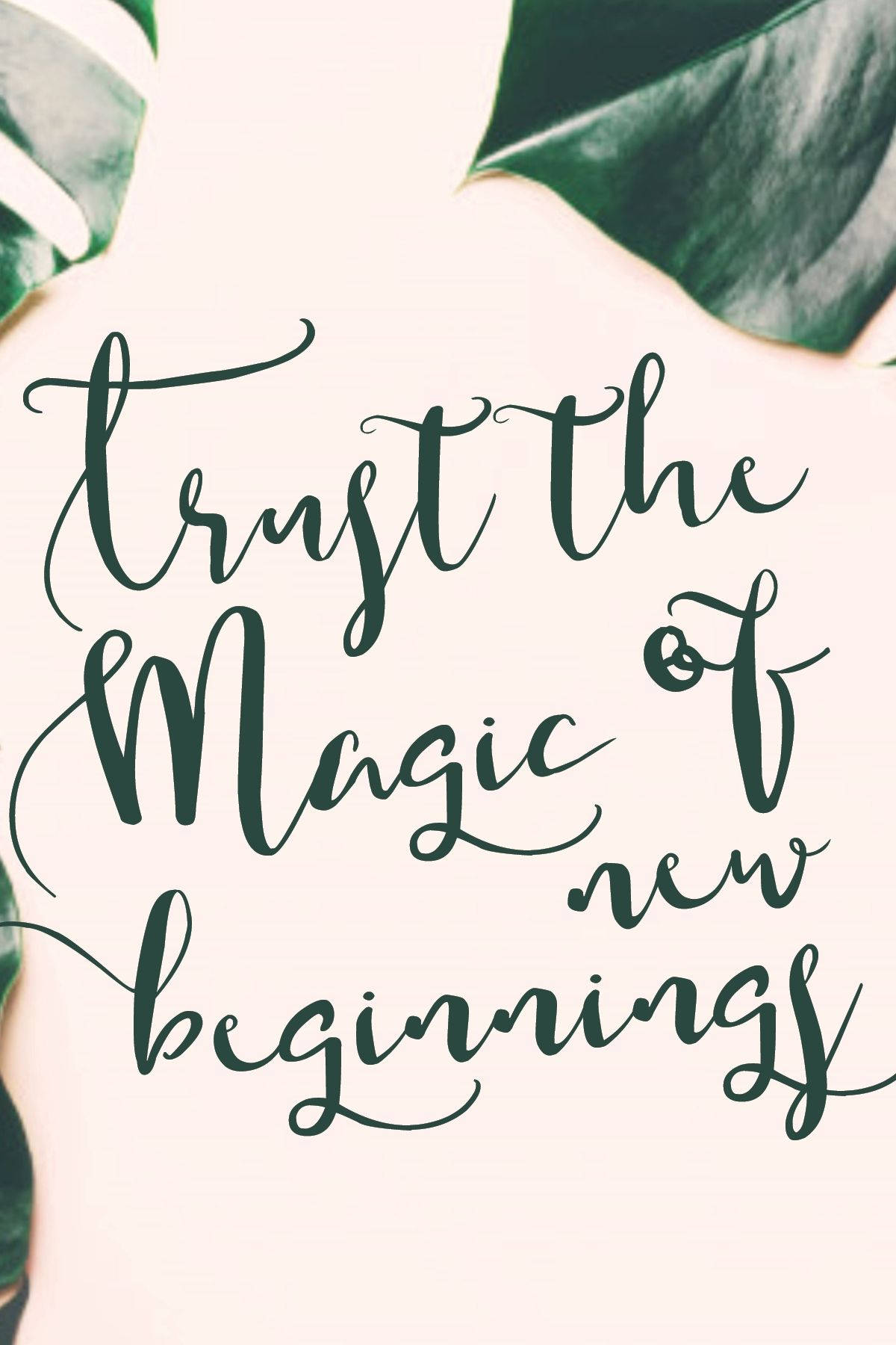 一月 桌布 壁紙 — 優雅的手寫文字寫著「Trust the Magic of new beginnings」，由茂密的綠色龜背竹葉環繞在柔和的奶油色背景上。