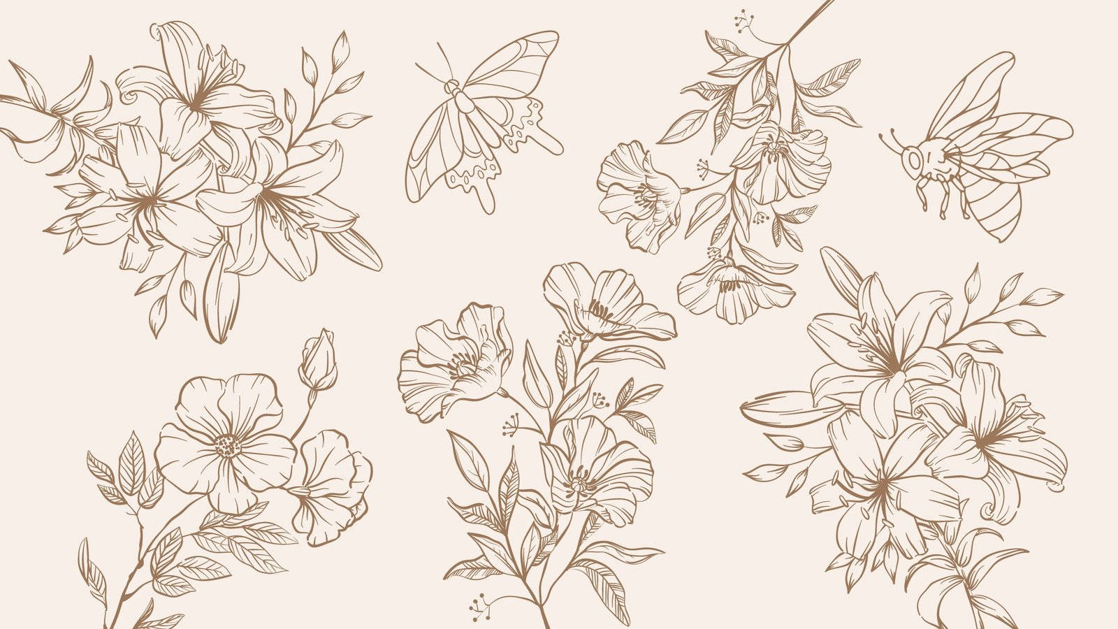 Minimalist Flower Computer 桌布 壁紙 — 優雅的棕褐色調線條藝術插圖，描繪百合、罌粟和蝴蝶，以散落的花簇排列。