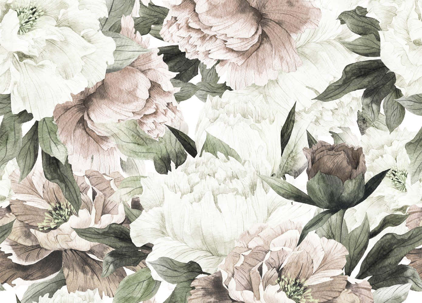 Floral Art 桌布 壁紙 — 優雅的水彩牡丹花，以柔和米色和鼠尾草綠色綻放於潔白背景上。