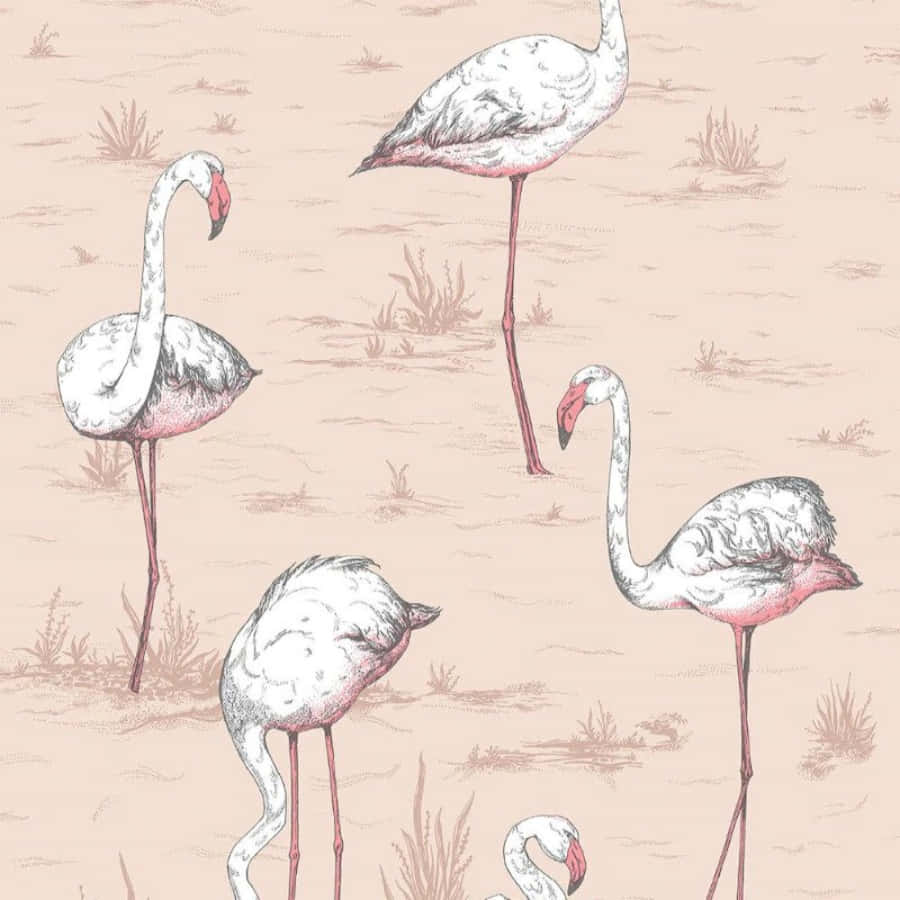 Pink Flamingos 桌布 壁紙 — 優雅的火烈鳥在淺水中優美地站立，帶有柔和的粉紅色和米色色調，構成精緻的插圖圖案。