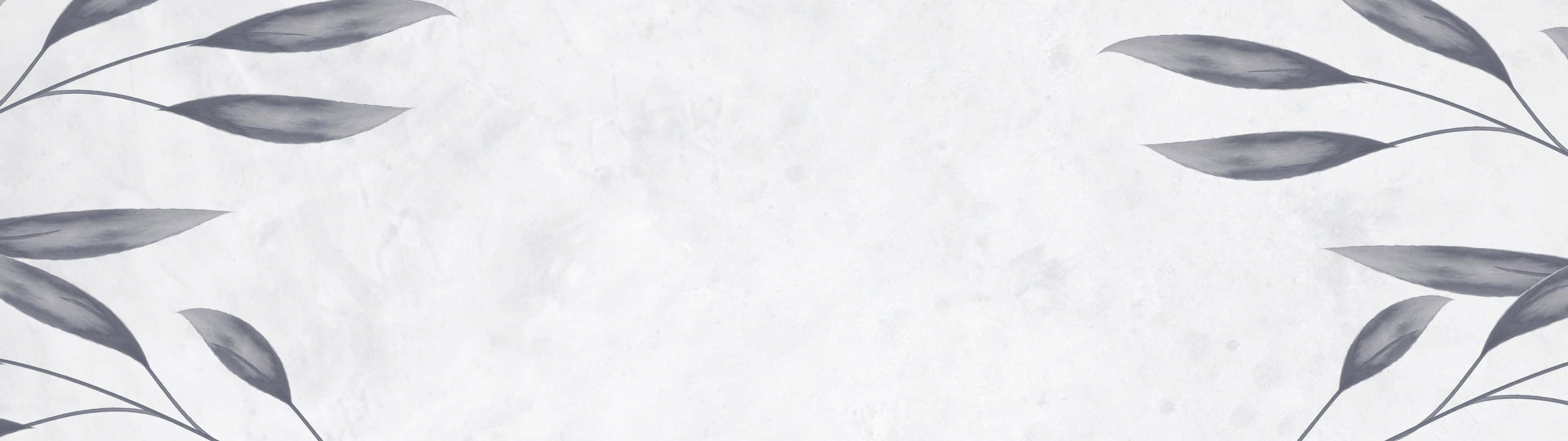 3840x1080 桌布 壁紙 — 優雅的灰色樹葉枝條框住柔軟紋理的白色背景，呈現極簡植物設計。